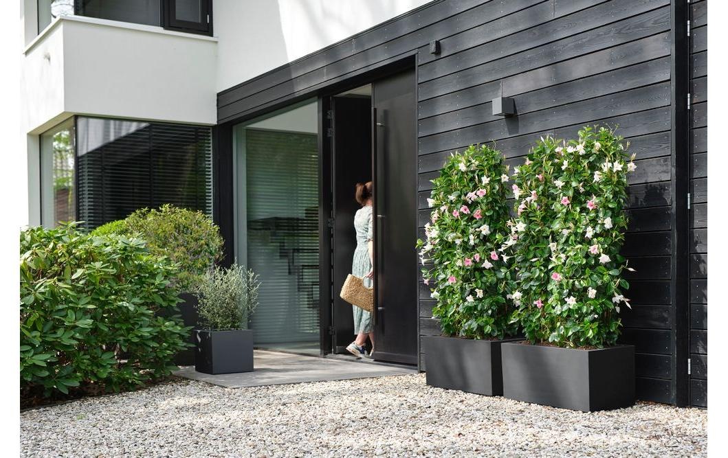 Elho Pot de fleurs »Next Quadrat 40 cm«