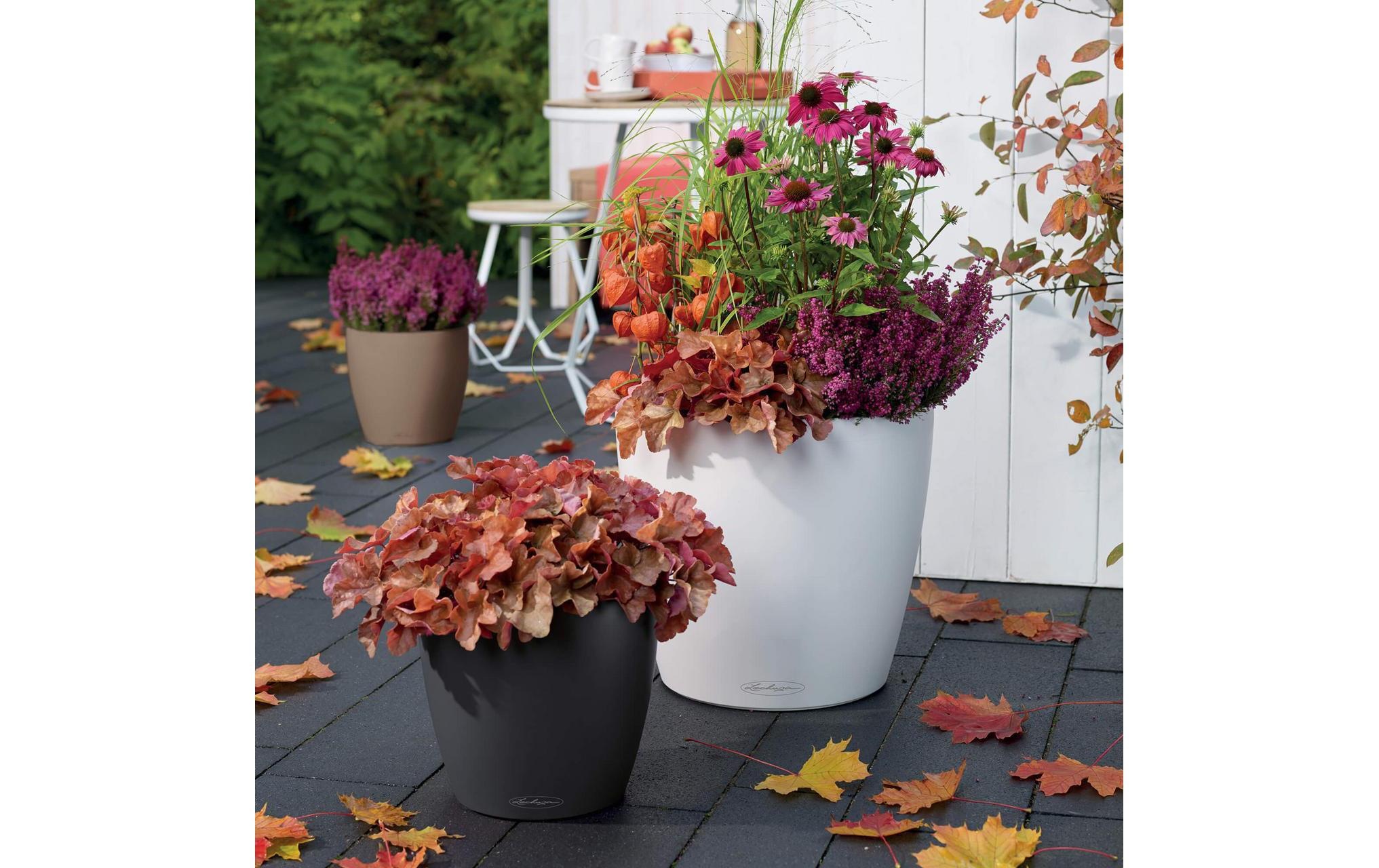   Blumentopf »Lechuza CLASSICO Color 43 Braun«