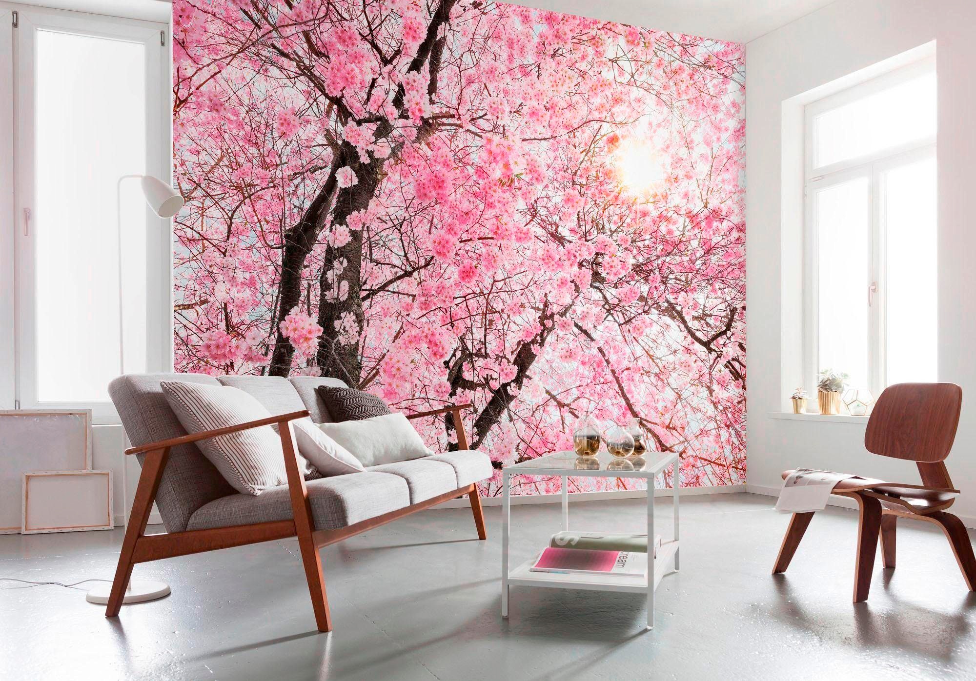 Komar Papier peint intissé »Digitaldruck Vlies -  Bloom - Grösse 400 x 260 cm« imprimé Wohnzimmer, Schlafzimmer