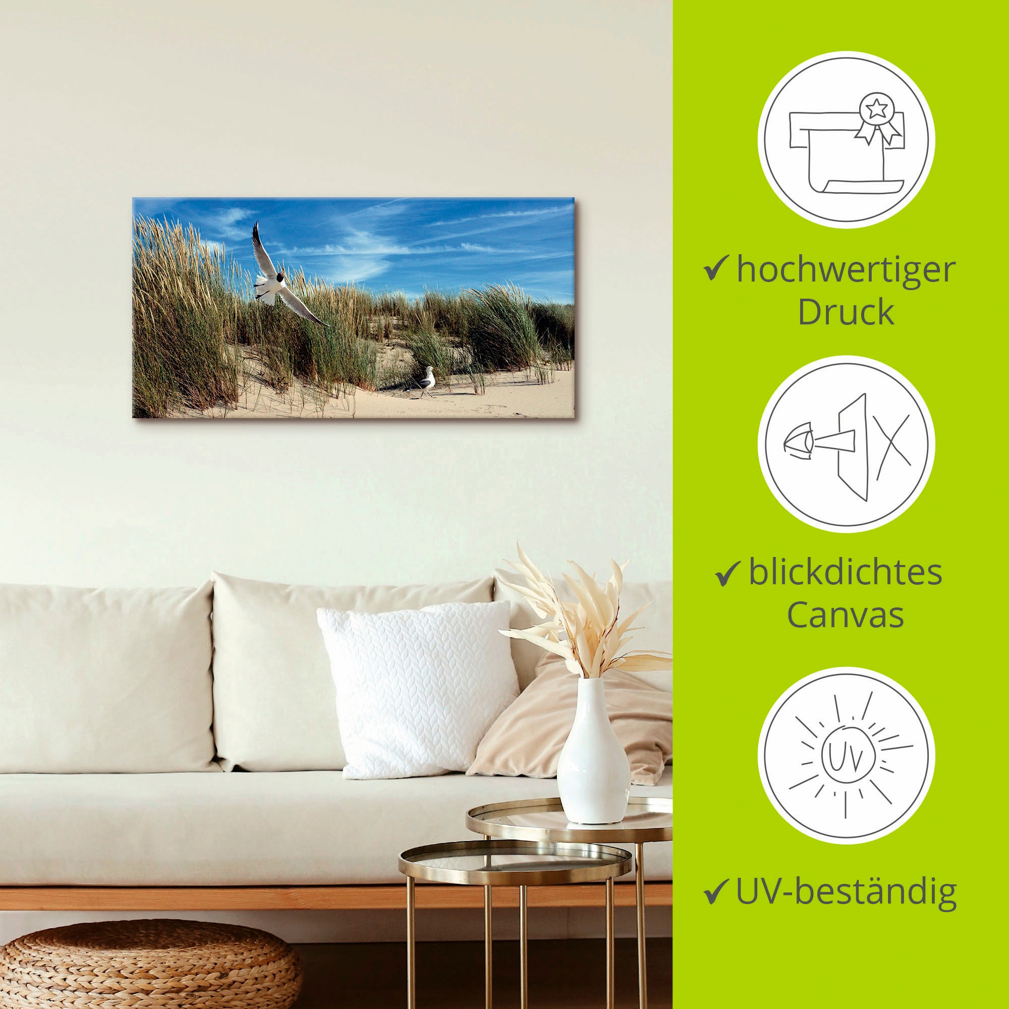 Artland Tableau sur toile »Möwe und Seeschwalbe in Dünenlandschaft« 1 cuis tlg. auf Holzrahmen gespannt