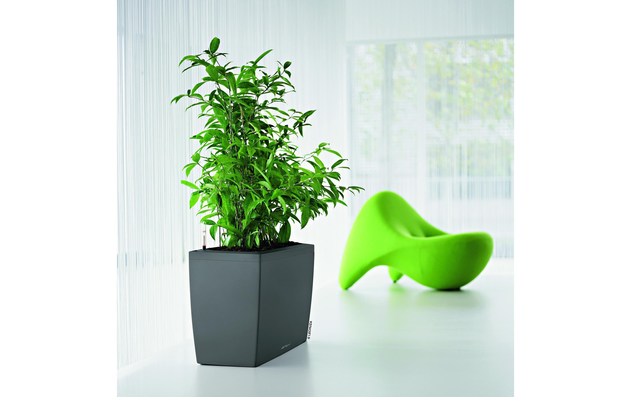   Système d'arrosage »Lechuza CARARO Premium« ()  Rechteckiges Selbstbewässerungssystem