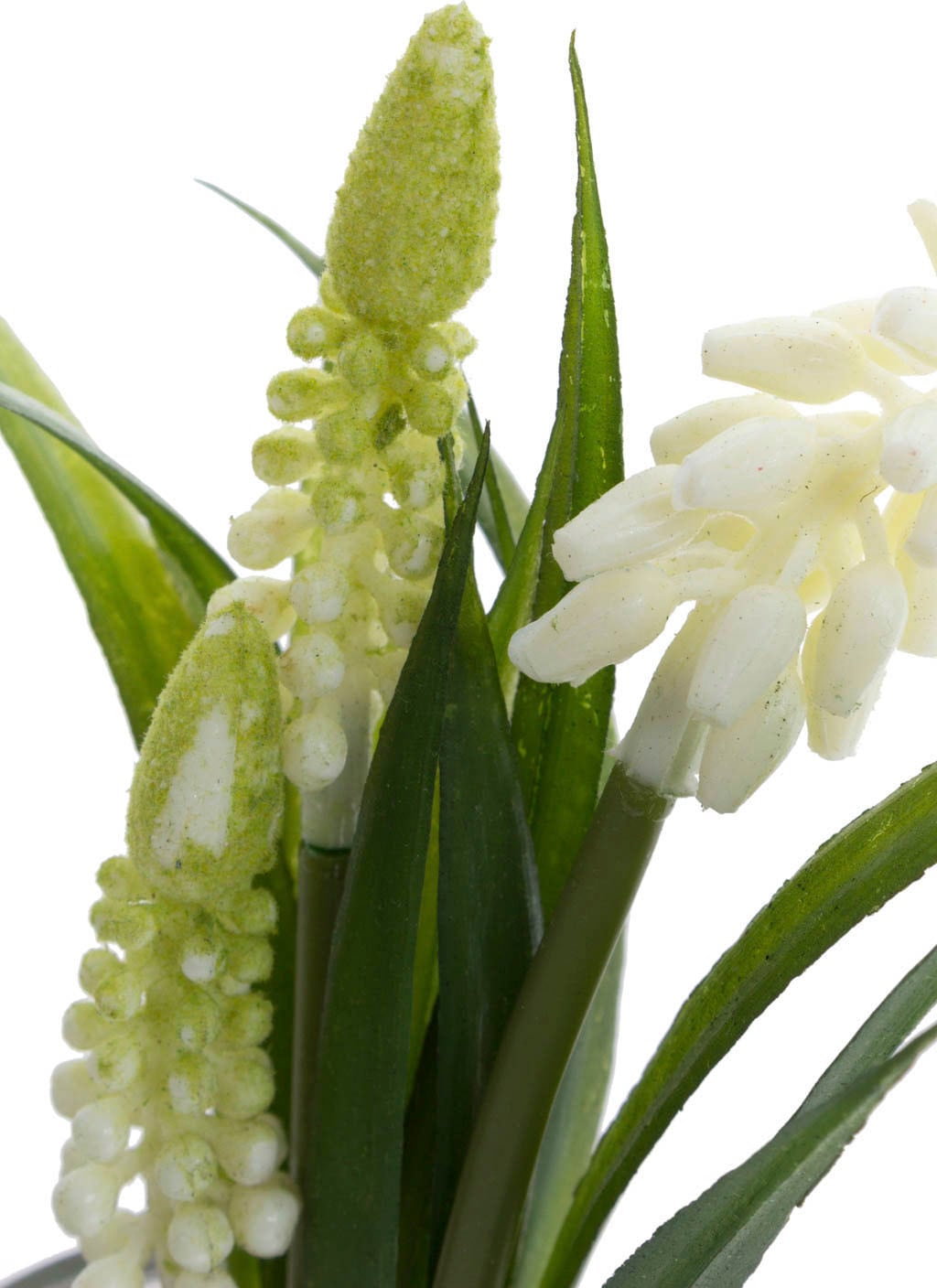 Botanic-Haus Kunstblume »Muscariarrangement im Glas«