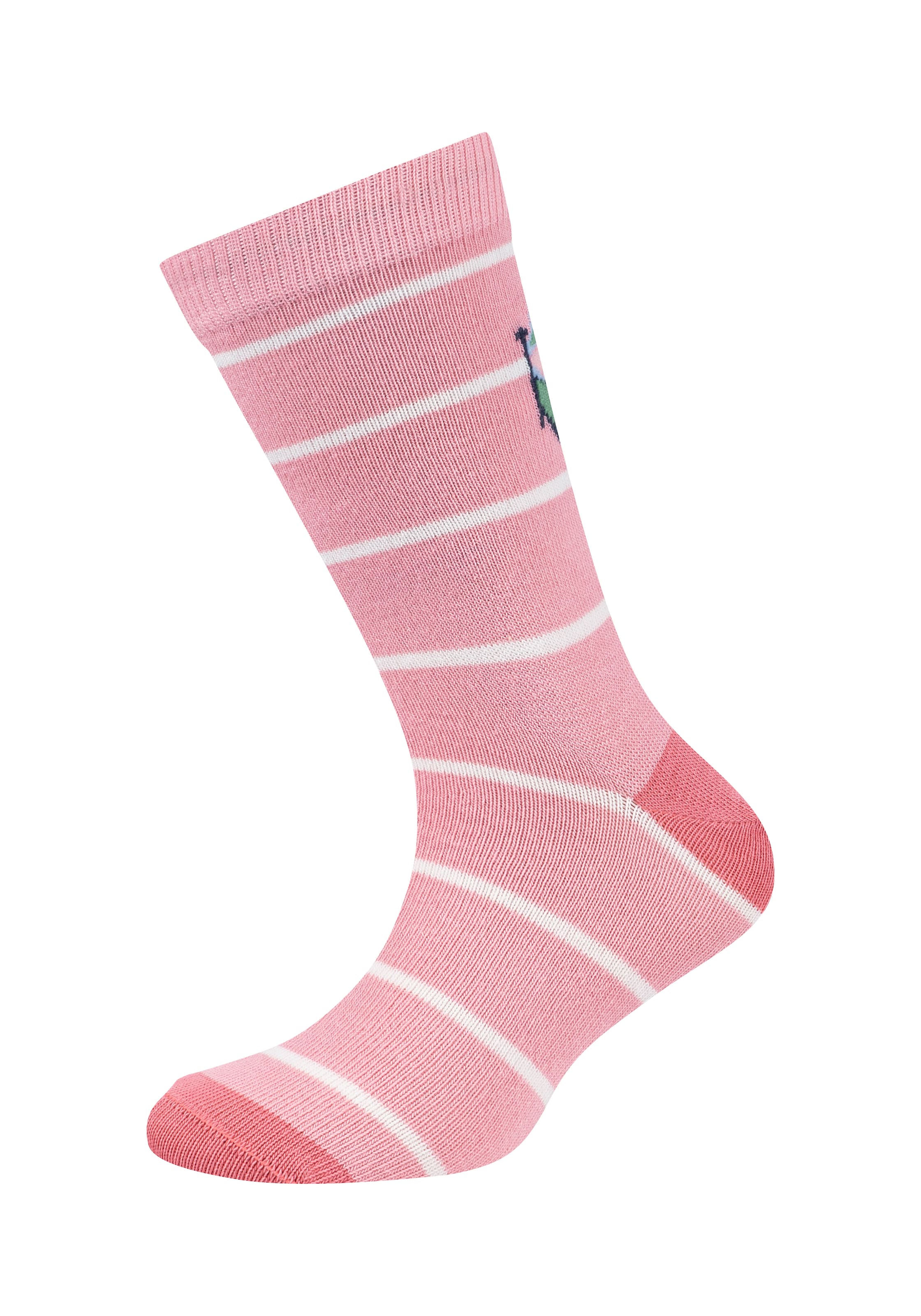 Camano Chaussettes 8 Paar, 