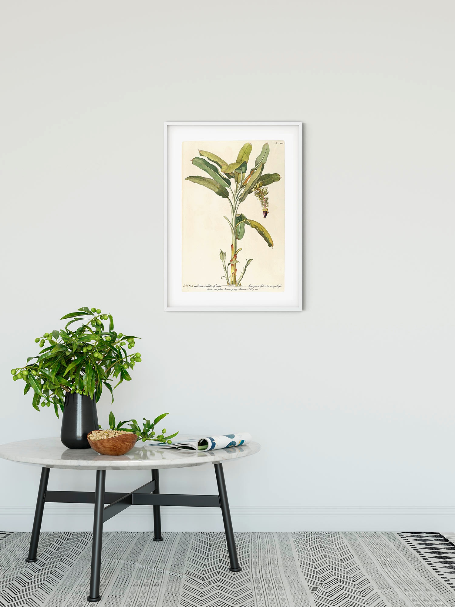 Komar Bild »Rainforest Sapling« Natur 1 Stk. tlg. Wandbild zur Dekoration - ohne Rahmen