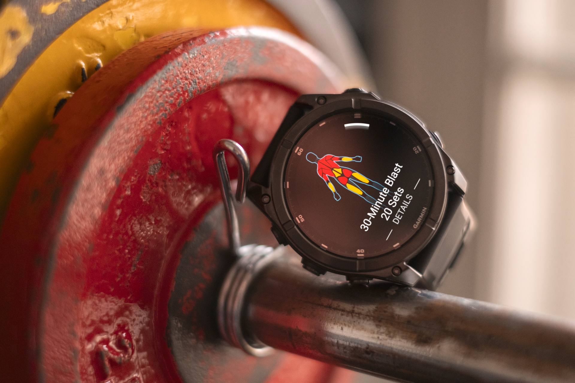 Garmin Smartwatch »fenix 8 - 51 mm« (3,6 cm / 1,4 ″)