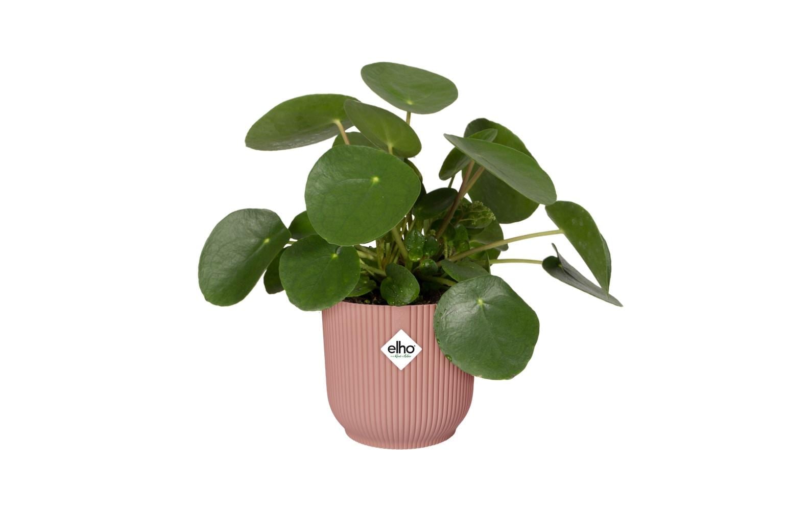 Elho Pot de fleurs »Vibes Fold Rund 47 cm«