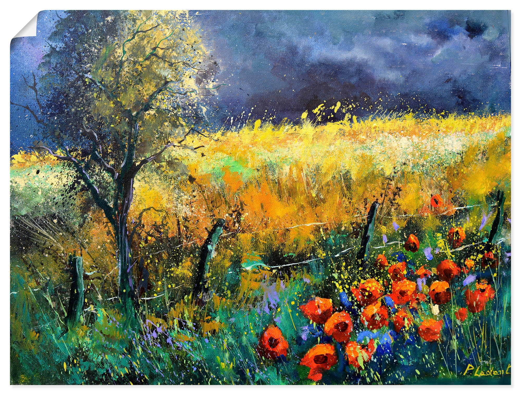 Artland Wandbild »Red poppies« Wiesen & Baumbilder 1 Stk. tlg. als Alubild, Leinwandbild, Poster, Wandaufkleber in verschied. Grössen