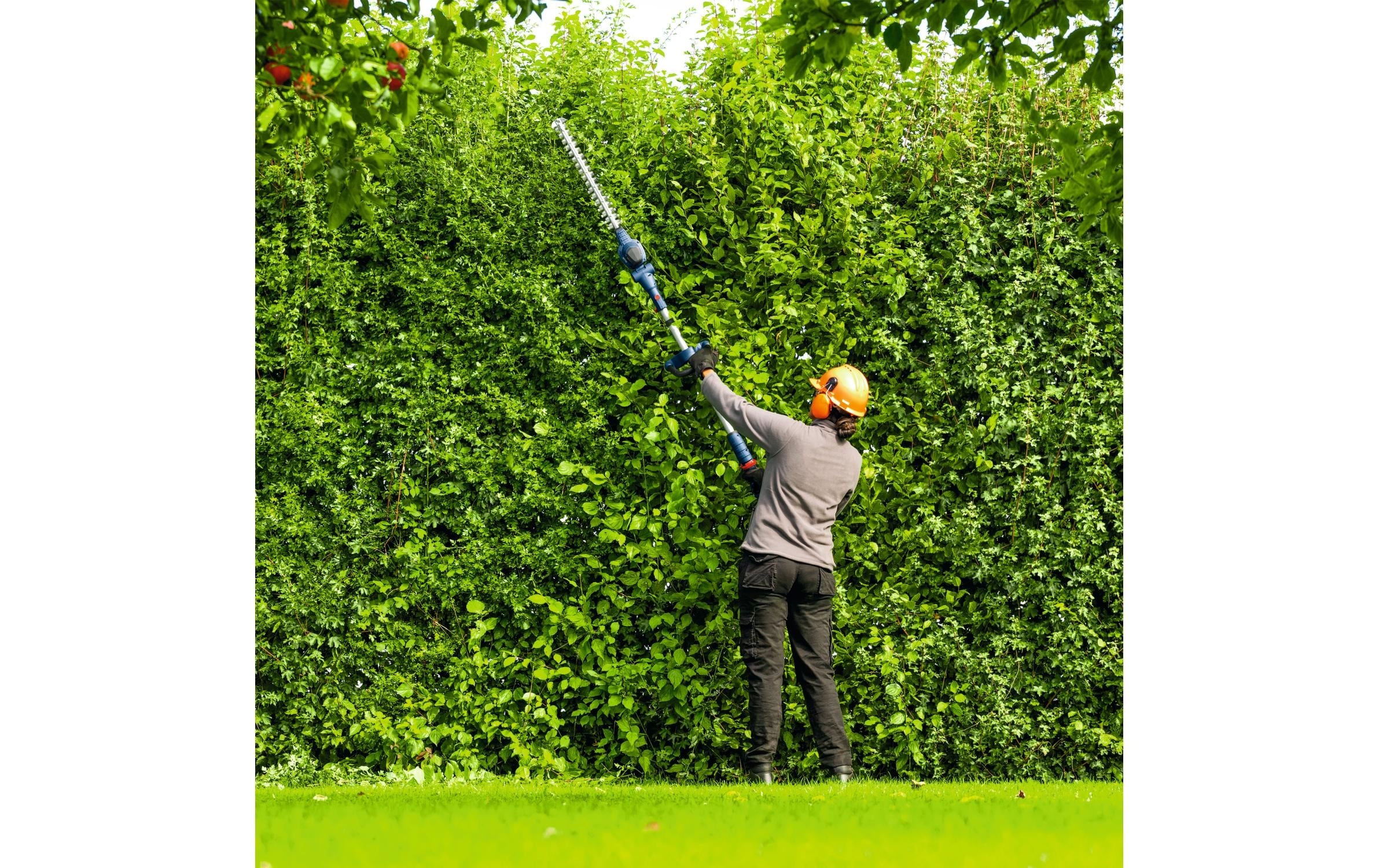 Bosch Professional Akku-Heckenschere »GHE18V-50FP« (ohne Akku und Ladegerät, )  Stabheckenschere zum Trimmen von hohen Hecken und kleineren Büschen