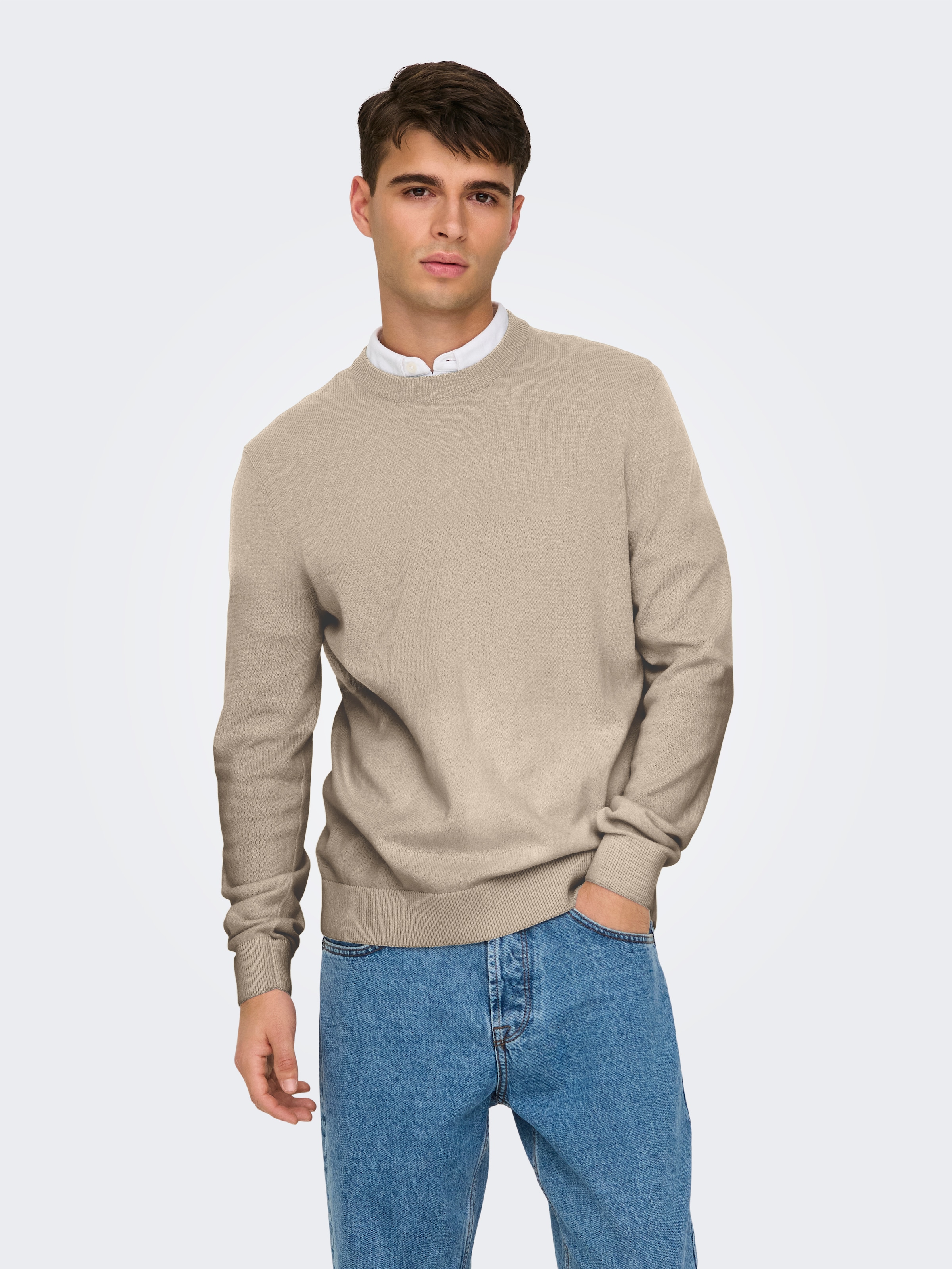 ONLY & SONS Pull à col rond »ONSREX LIFE REG 12 CREW KNIT«