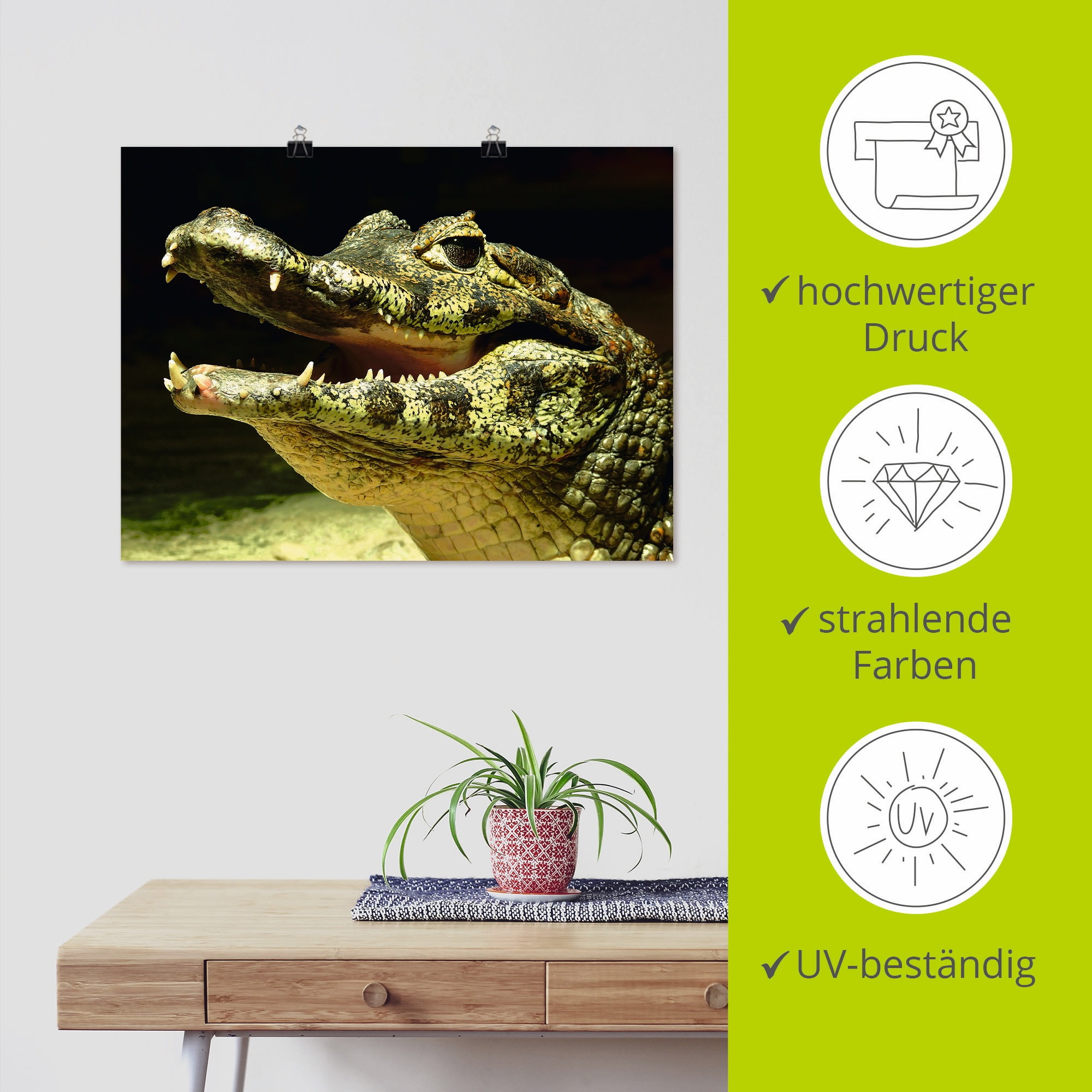 Artland Poster »Ein lächelndes Krokodil« 1 cuis tlg. als Poster, Wandaufkleber in verschied. Grössen