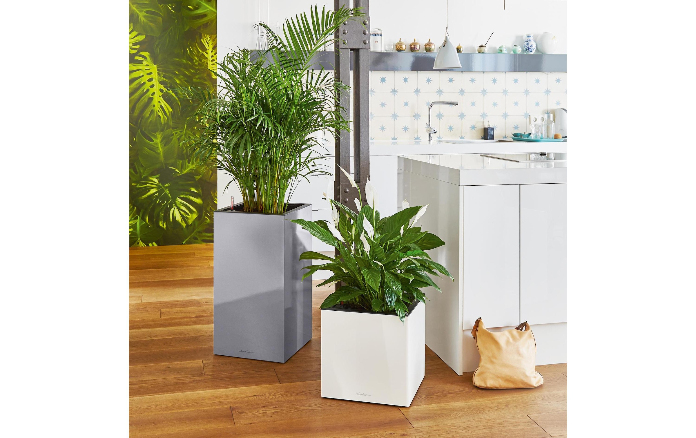   Bac à plantes »Lechuza CANTO Premium 40 low«