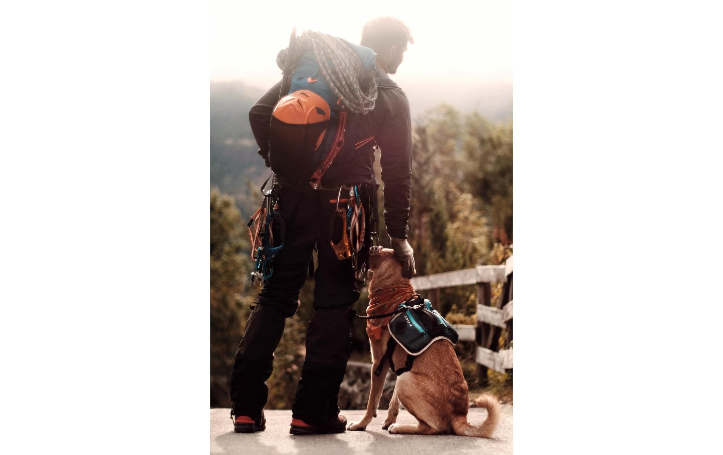   Harnais pour chien »DOGPAK Moab Lite Hunderucksack S« Rucksack und Wandergeschirr für Hunde aus «Die Höhle der Löwen»