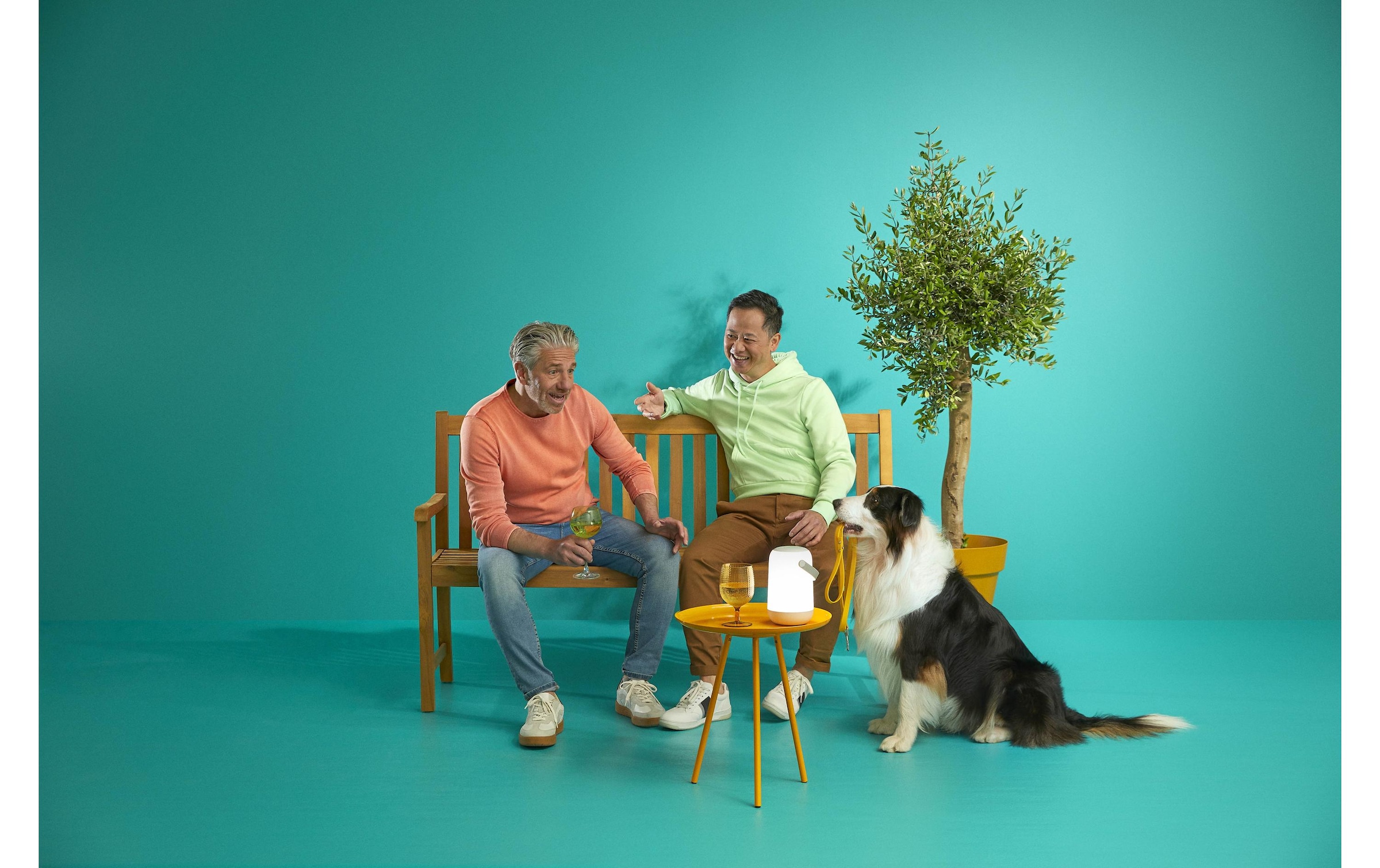 WiZ Lampe LED intelligente »13.5W Portable Tunable White & Color«