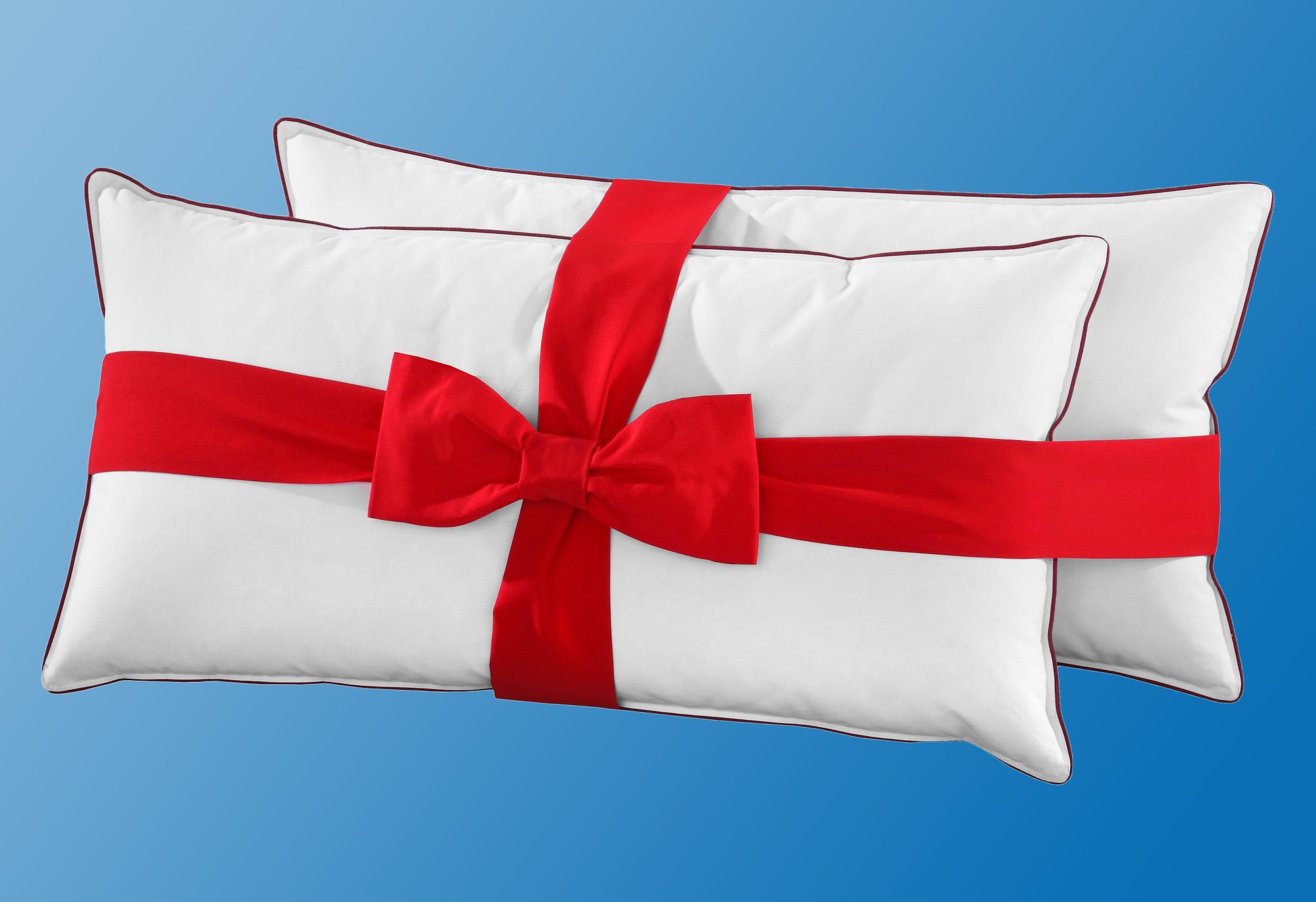 Hanse by RIBECO Oreiller en plumes »Jule« Füllung: 90 % plumes, 10 % duvet 2 cuis tlg. édition anniversaire