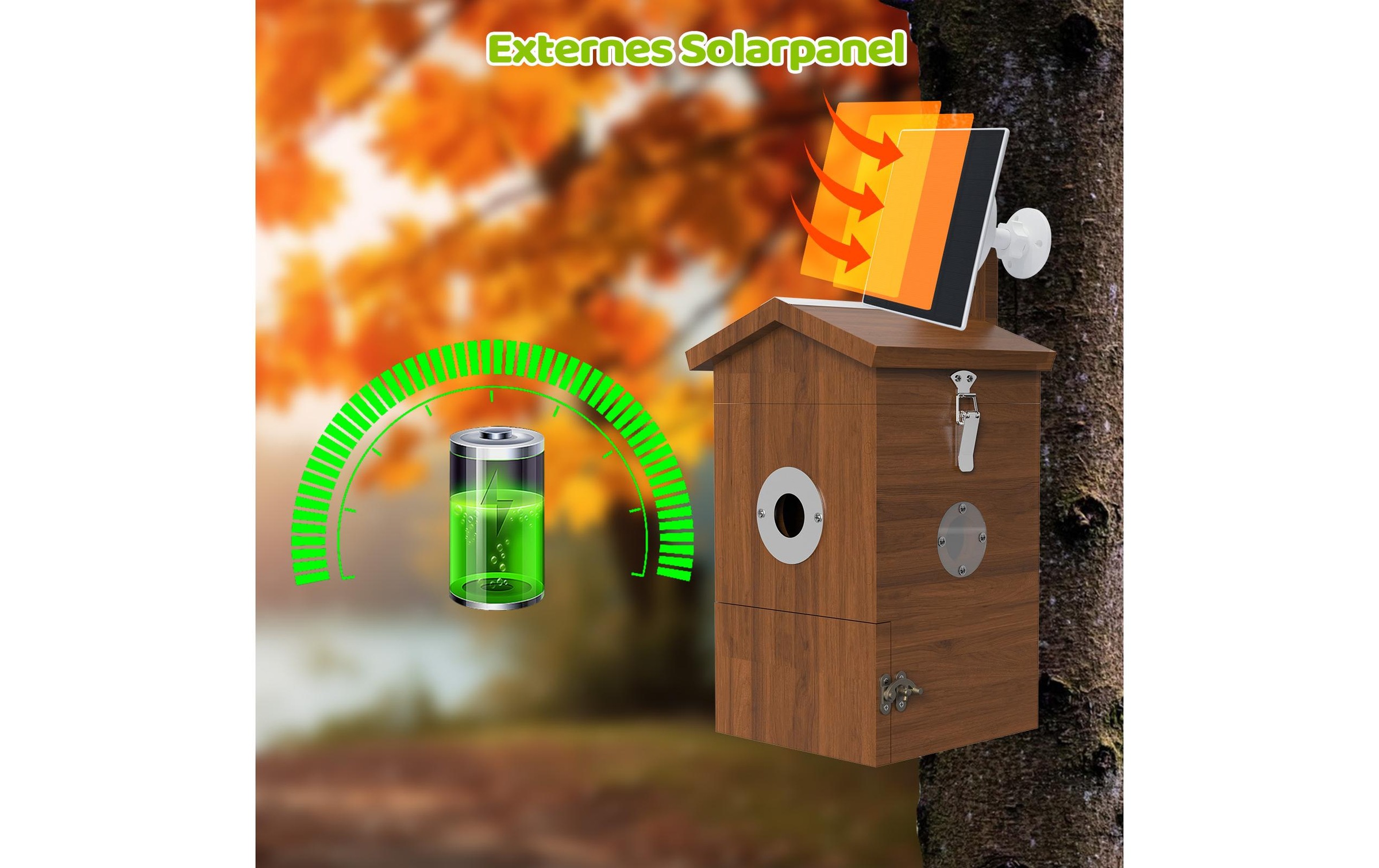   Nistkasten »Sanilu Vogel mit Kamera und Solarpanel«