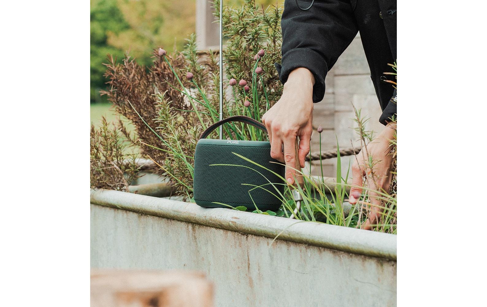 Pure Radio »Woodland Grün« ( )