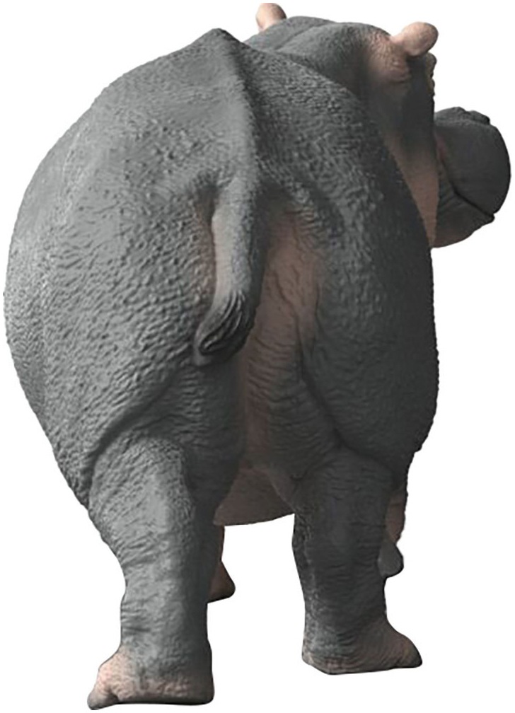 Schleich® Personnage de jeu »WILD LIFE, Flusspferd (14938)«