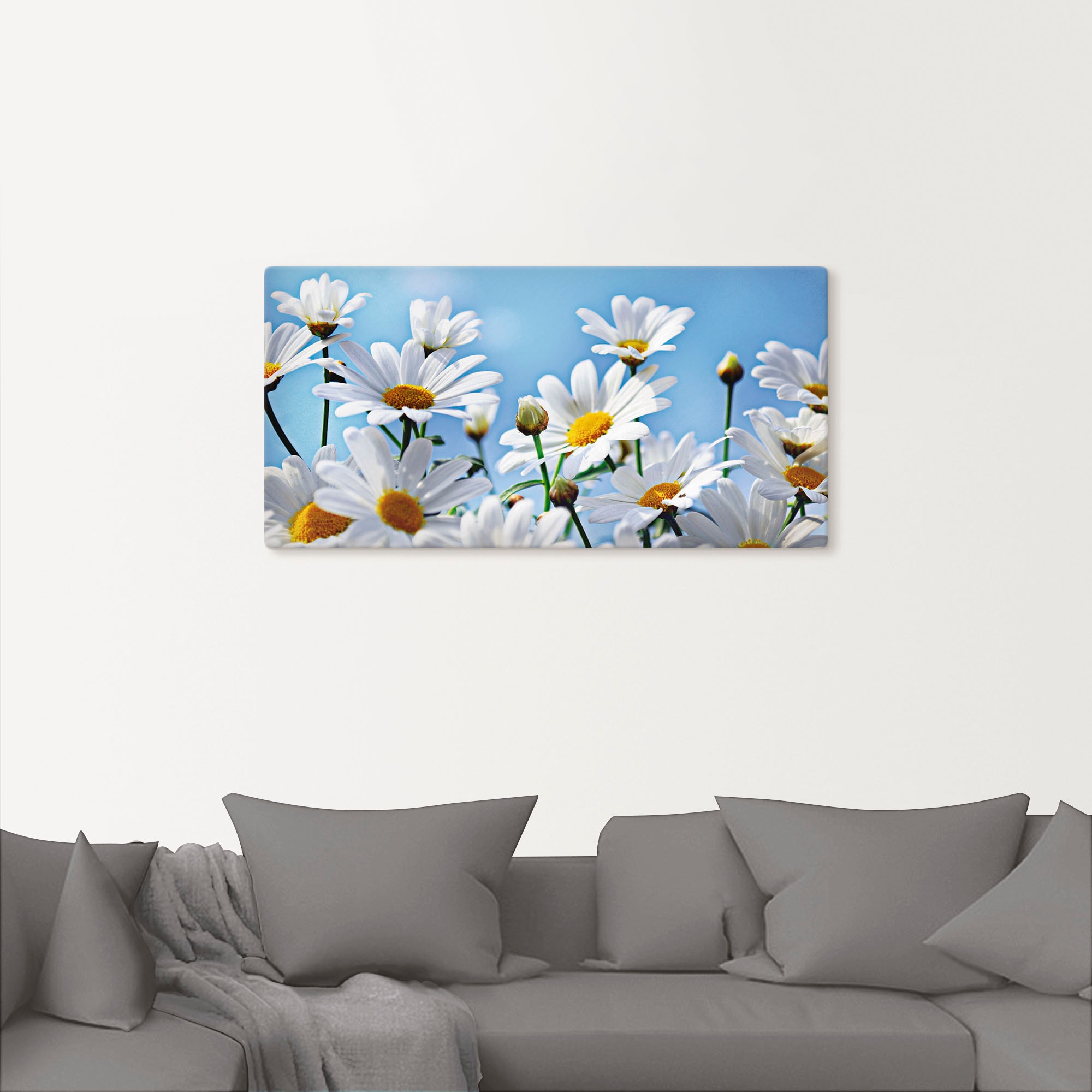 Artland Leinwandbild »Blumen - Margeriten« Blumen 1 Stk. tlg. auf Holzrahmen gespannt