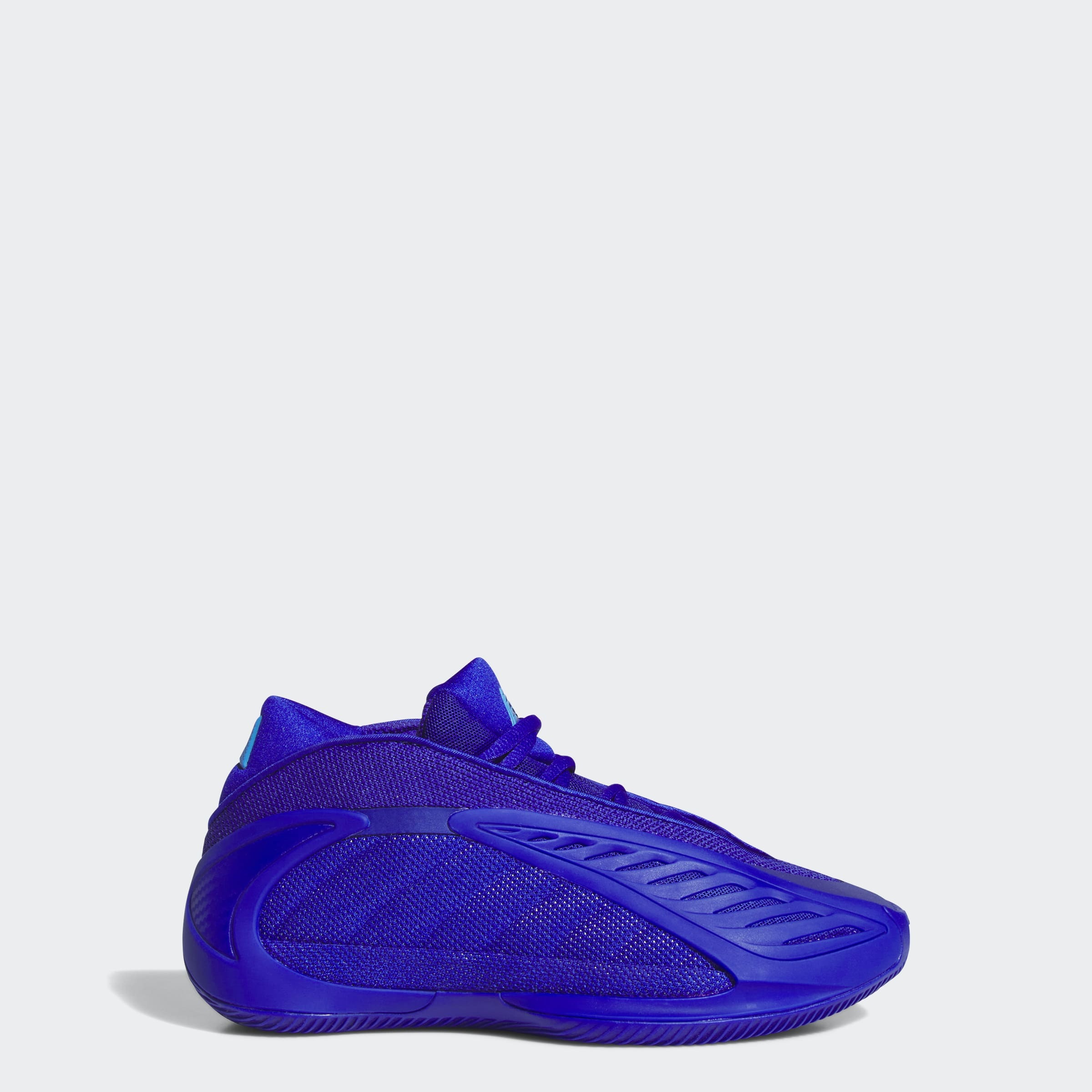 adidas Performance Basketballschuh »ANTHONY EDWARDS 2 J«  für Kinder & Jugendliche