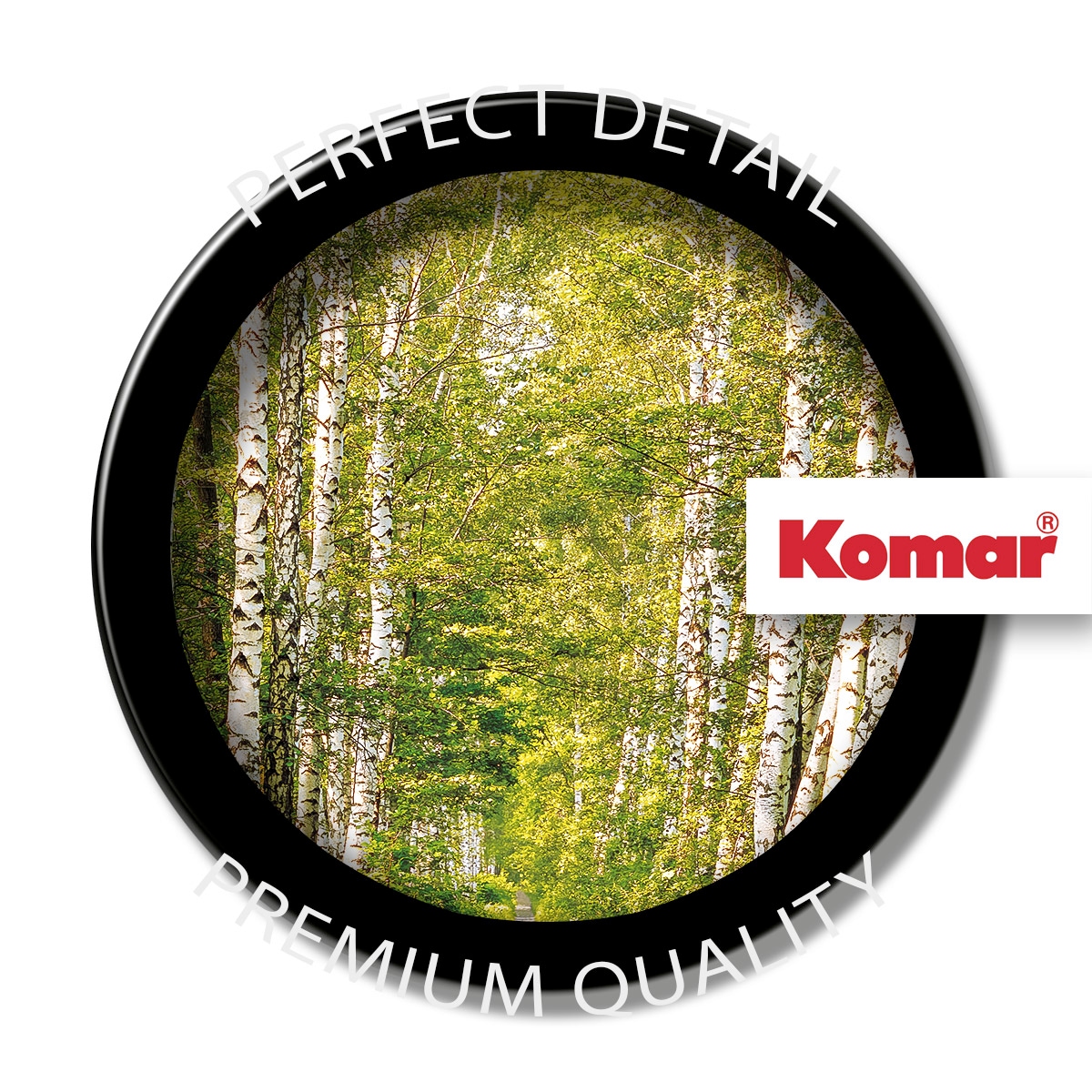 Komar Fototapete »Papier Fototapete - Birkenwald - Grösse 368 x 254 cm« Motiv | bedruckt glatt