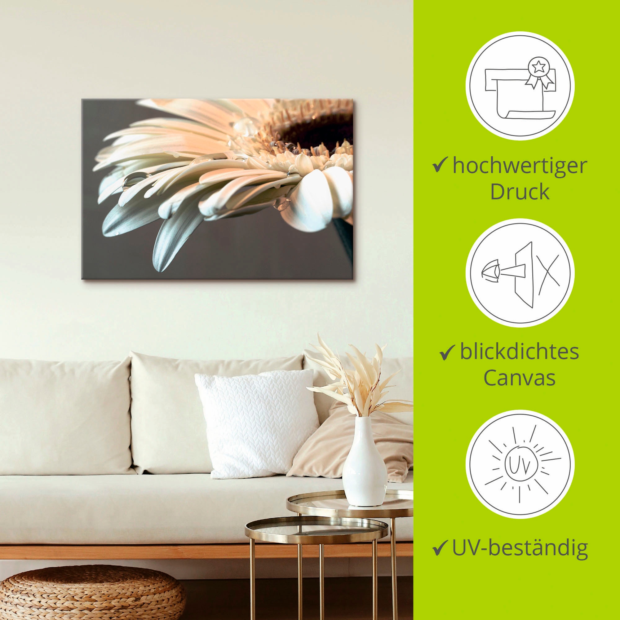 Artland Fresque murale »Blüte einer Gerbera« 1 cuis tlg. als Leinwandbild, Poster, Wandaufkleber in verschied. Grössen