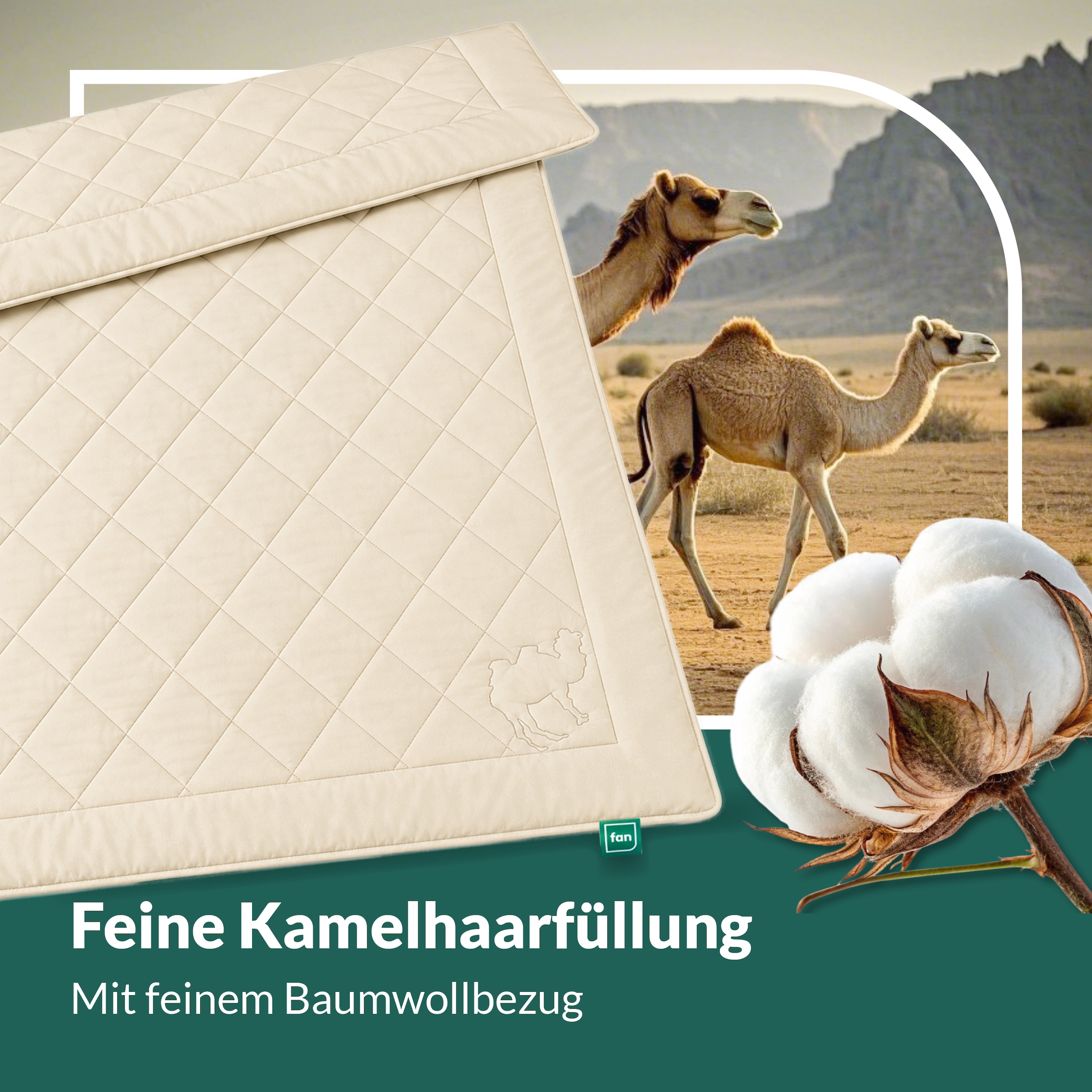 fan Naturhaarbettdecke »Gobi, Bettdecken für Sommer und Winter, temperaturausgleichend« leicht Füllung Kamelhaar Bezug Baumwolle 1 Stk. tlg. Klimatisierende Kamelhaar-Füllung - Made in Germany