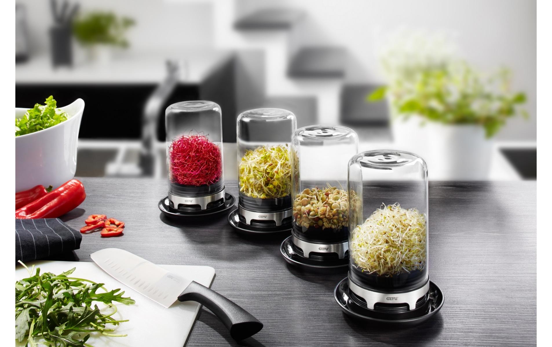 GEFU Salatbox »Bivita 0.75 l«