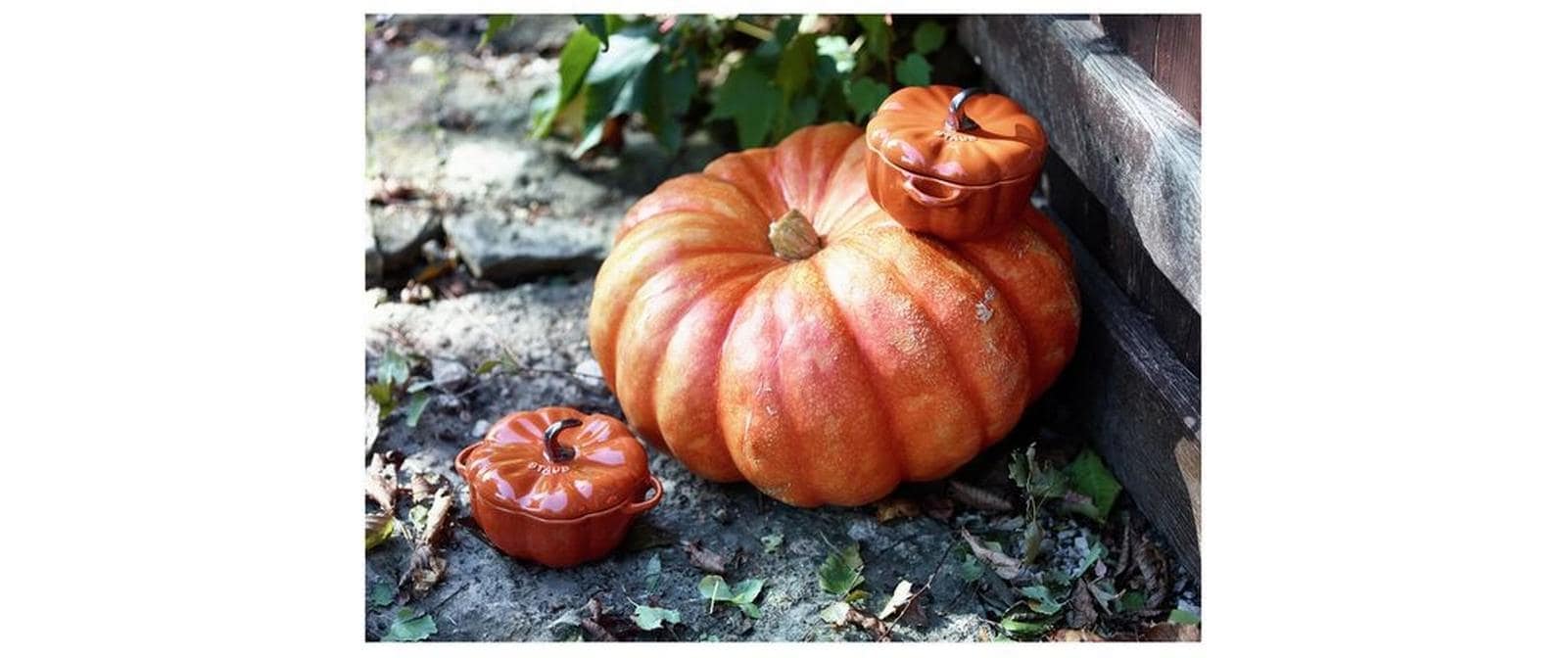 STAUB Rôtissoire »Cocotte Kürbis 12 cm, 0.5 l«