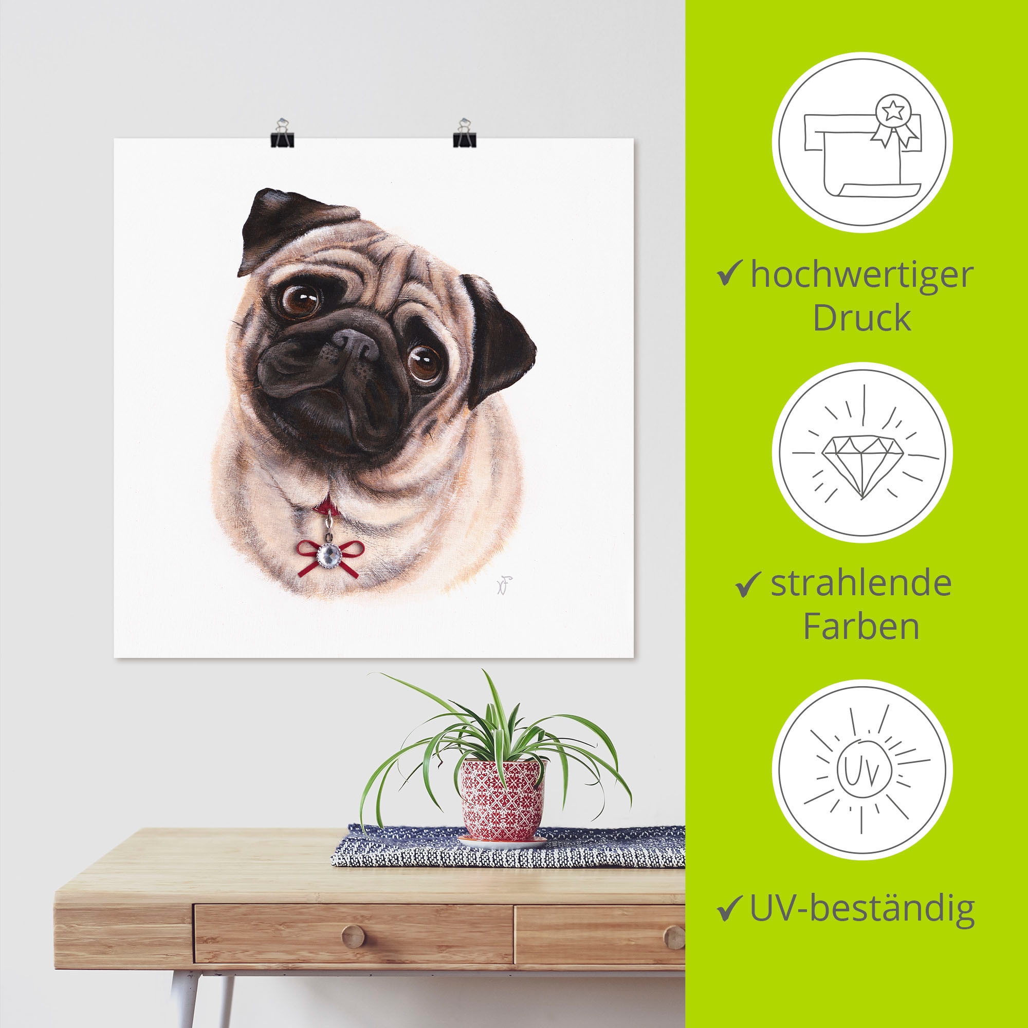 Artland Poster »Mops mit Diamanten« Hundebilder 1 Stk. tlg. als Alubild, Outdoorbild, Poster in verschied. Grössen