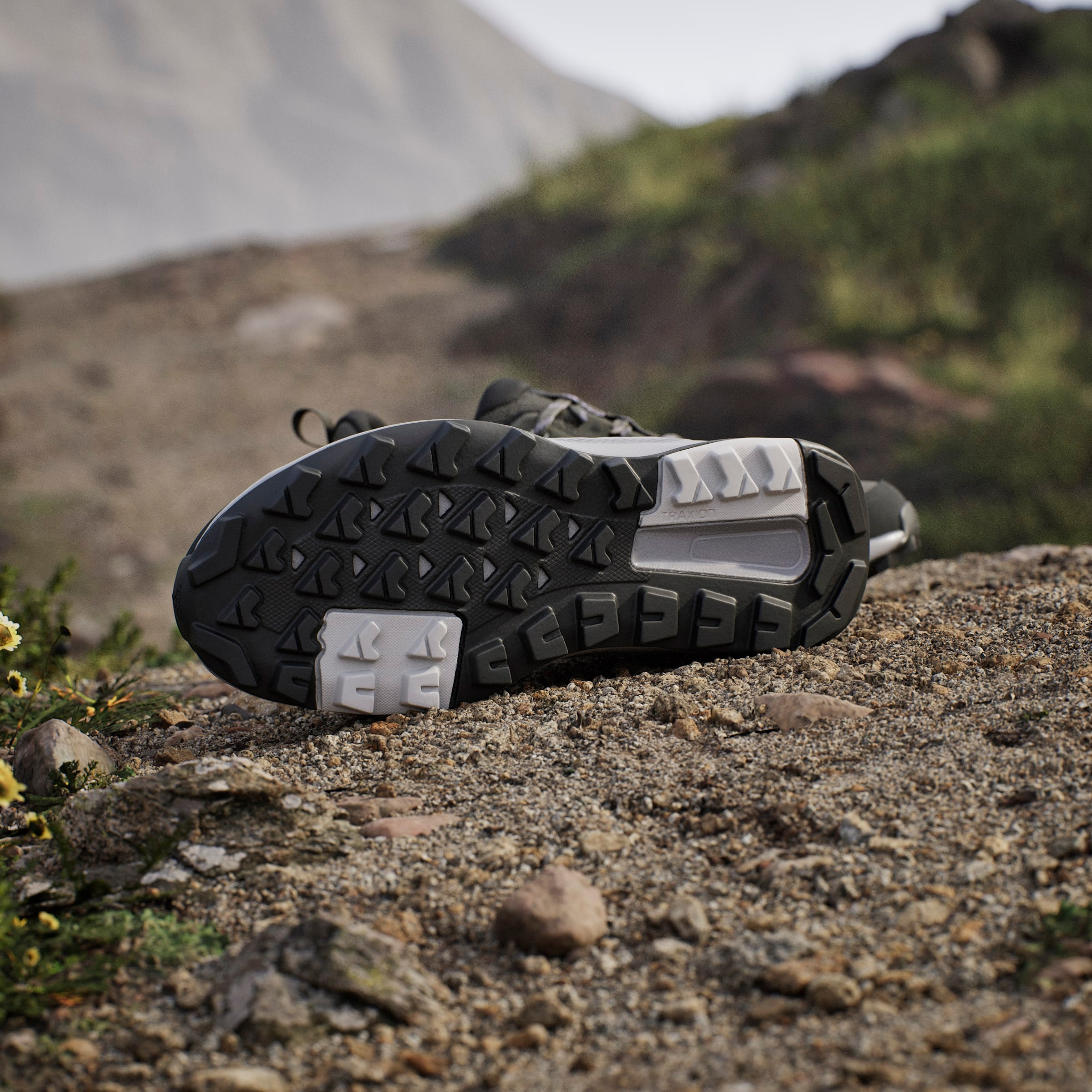 adidas TERREX Wanderschuh »TERREX ANYLANDER«