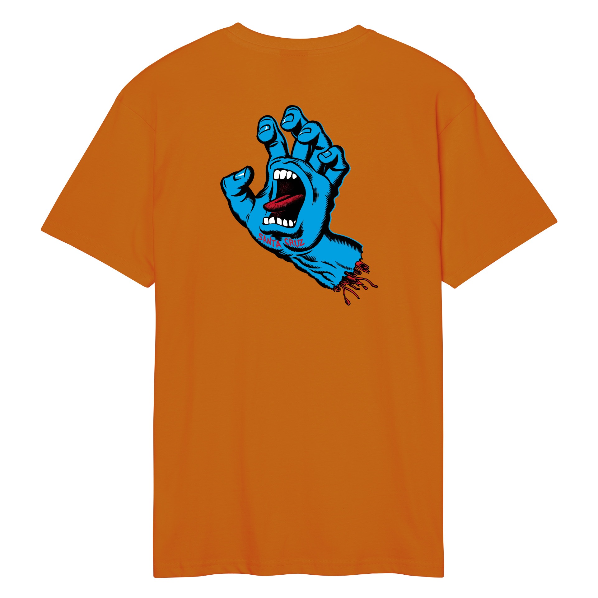 Santa Cruz T-Shirt »WOODLAND MINI STRIP FRONT T-SHIRT«