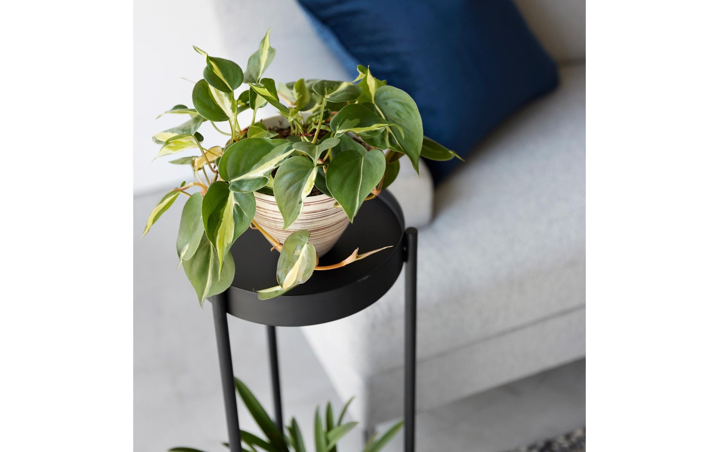 Yamazaki Présentoir à fleurs »Tower 25 x 26,5 x 70 cm«