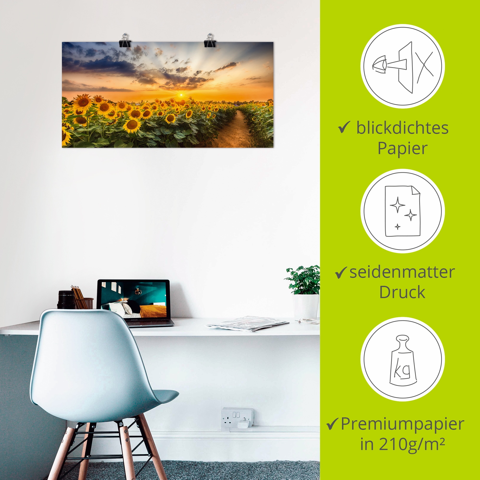 Artland Fresque murale »Sonnenblumenfeld bei Sonnenuntergang« 1 cuis tlg. als Alubild, Leinwandbild, Poster in verschied. Grössen