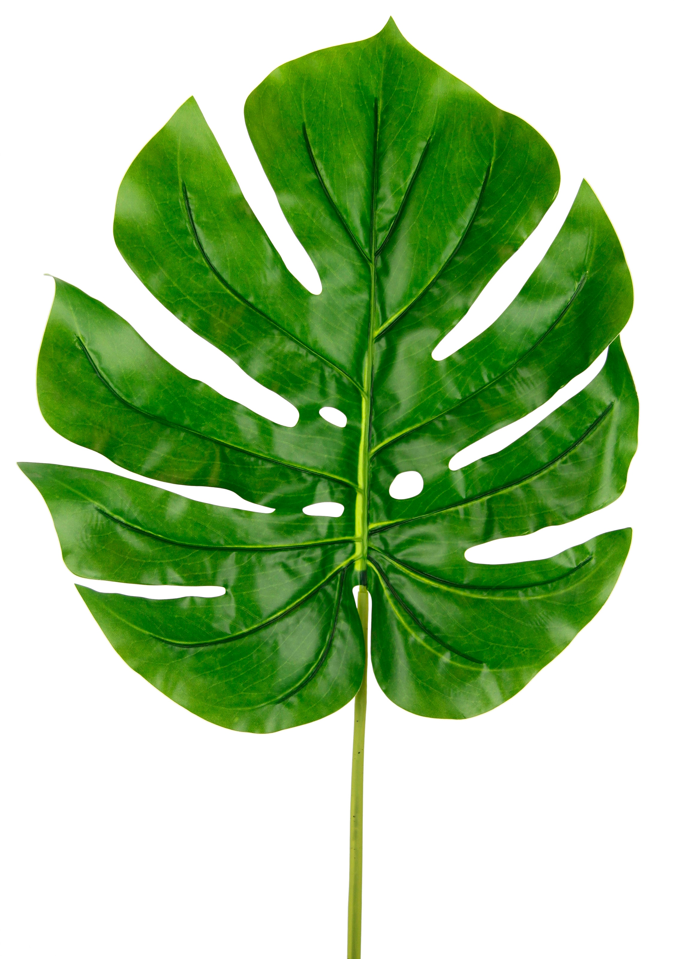 I.GE.A. Plante artificielle »Splitphiloblatt« Monstera, Kunstzweig, 5er Set