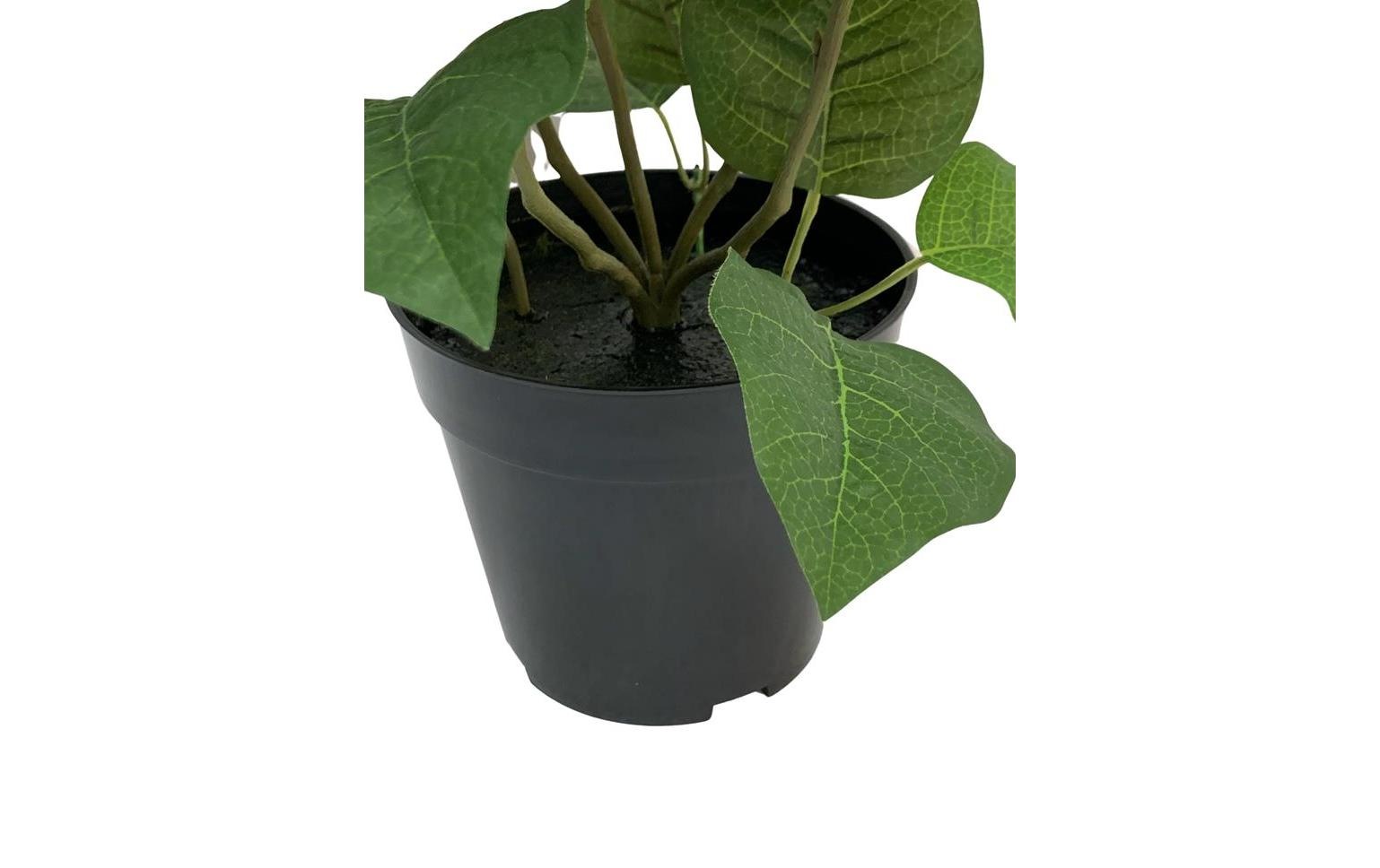 Botanic-Haus Fleur artificielle »im Topf, Rot«