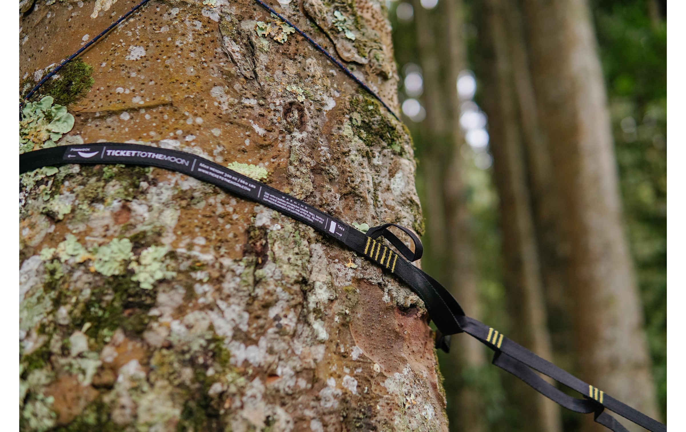   Wandhalter »ticket to the moon Moonstraps«