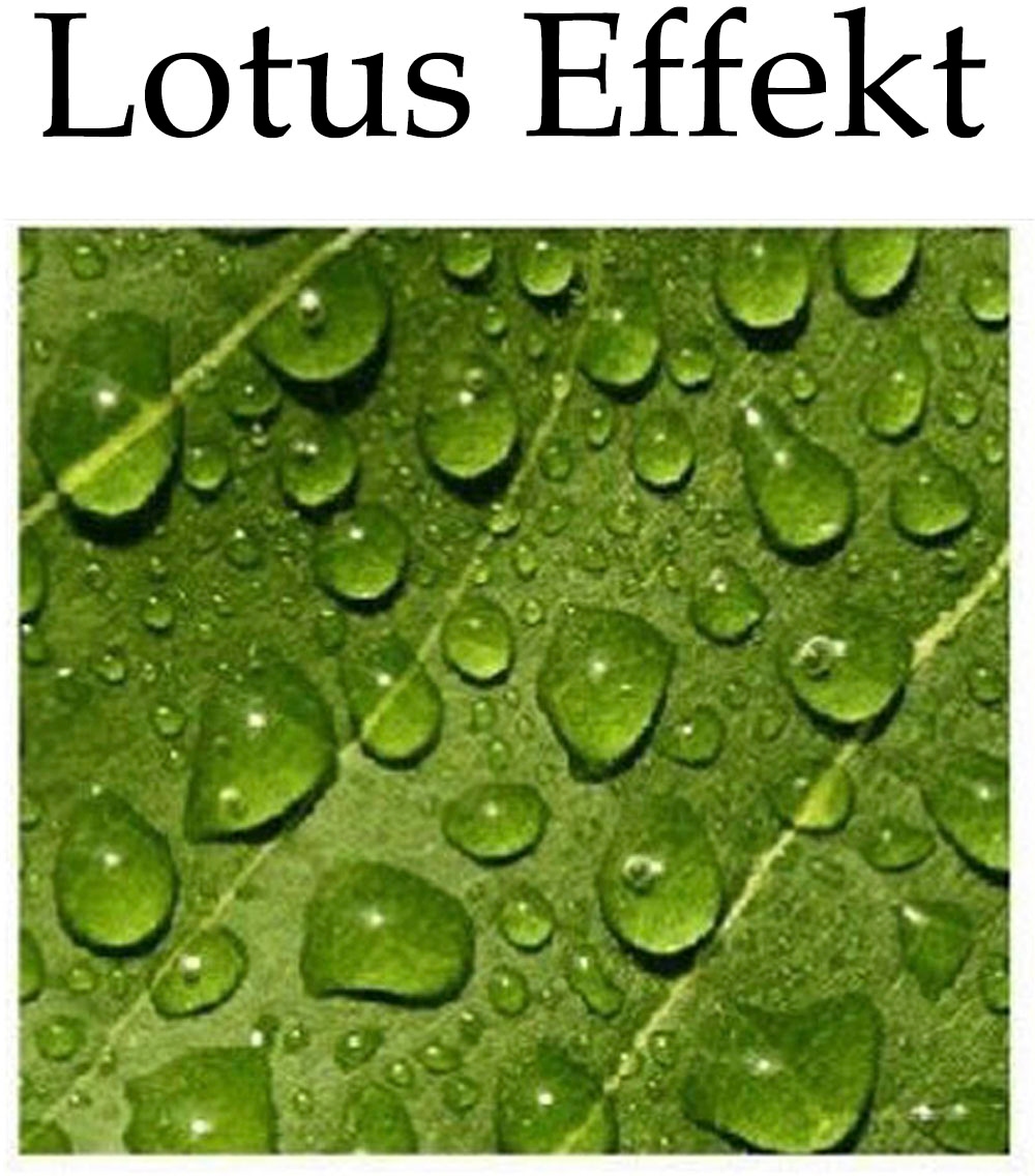 Weckbrodt Dekokissen »Kakteen« Kissenhülle mit Füllung, Outdoor