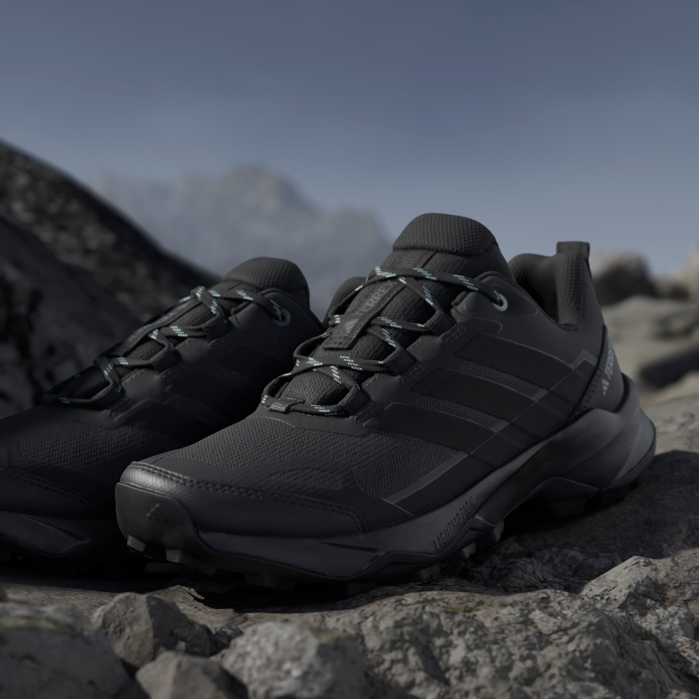adidas TERREX Wanderschuh »TERREX SKYCHASER AX5«  Outdoor-Schuh, Multifunktionsschuh