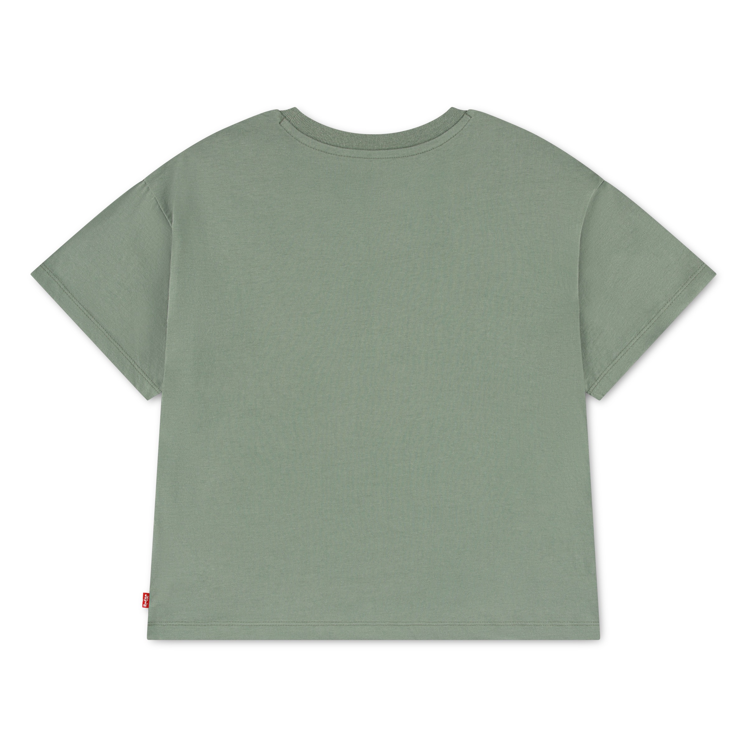 Levi's® Kids T-Shirt »LVG FLOWER MARKET OVERSIZED TE« mit Flower-Print