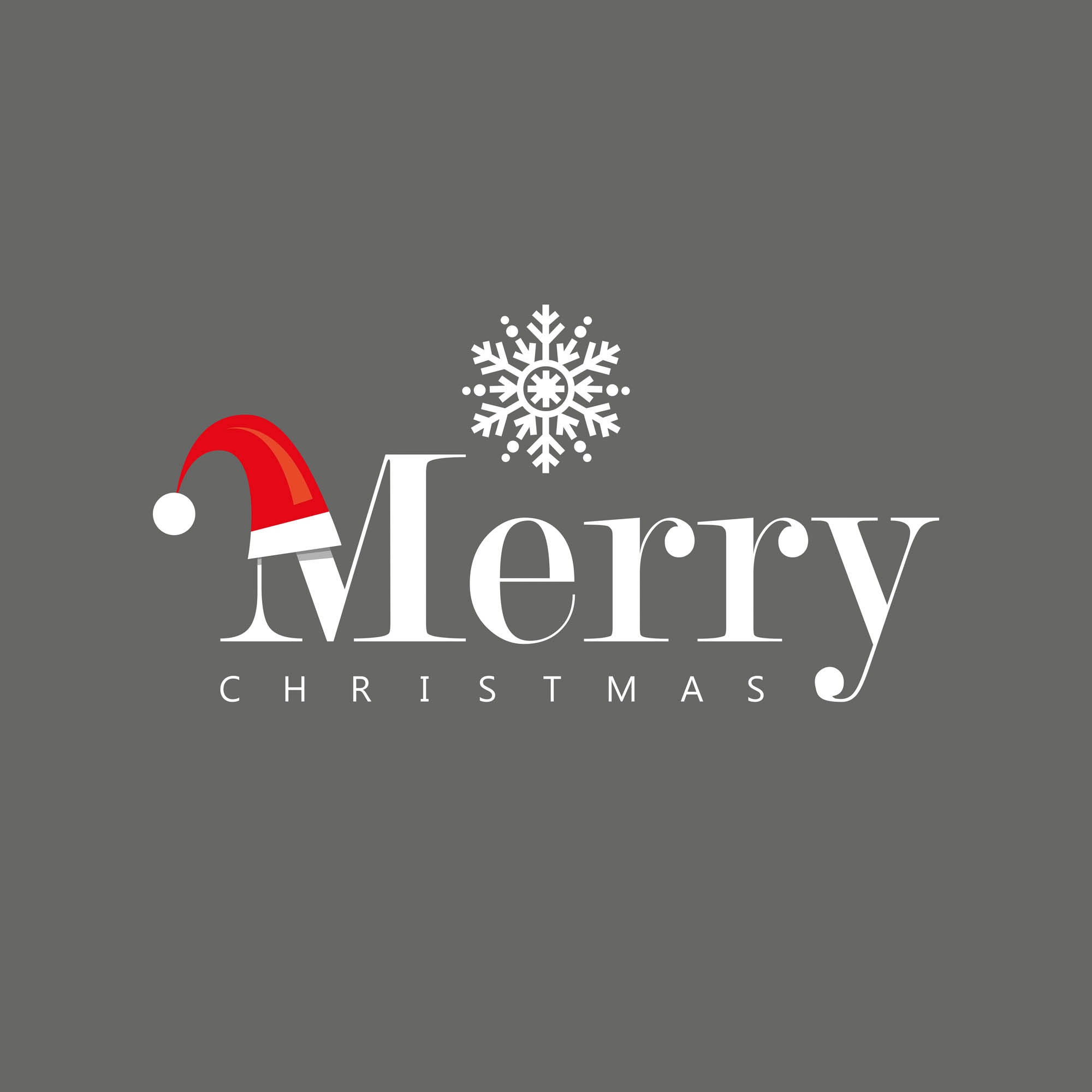 queence Dekokissen »Adrian« Kissenhülle,Merry Christmas,Schriftzug,Graues Kissen,Schneeflocke