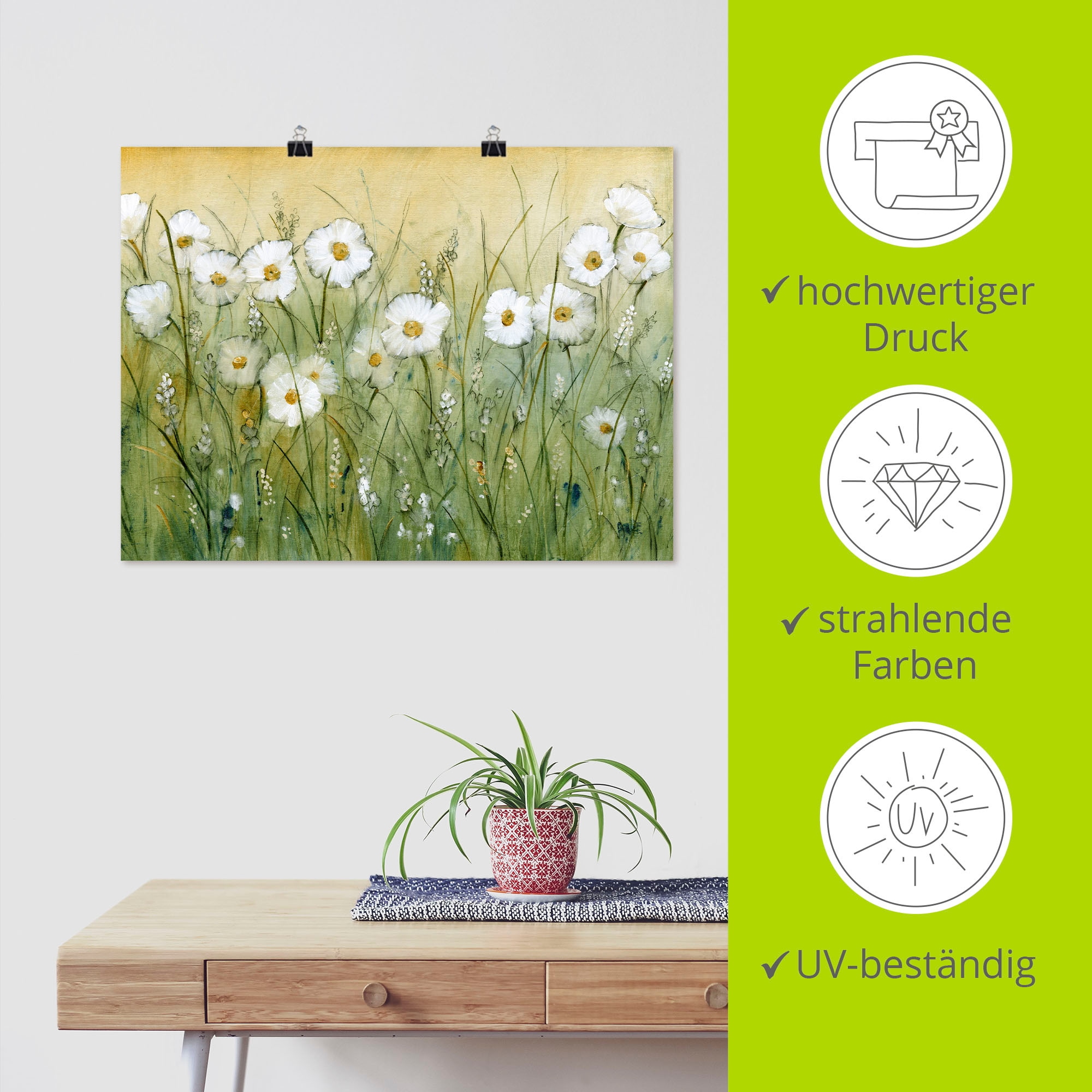 Artland Wandbild »Gänseblümchenfrühling II« Blumen 1 Stk. tlg. als Alubild, Leinwandbild, Poster in verschied. Grössen