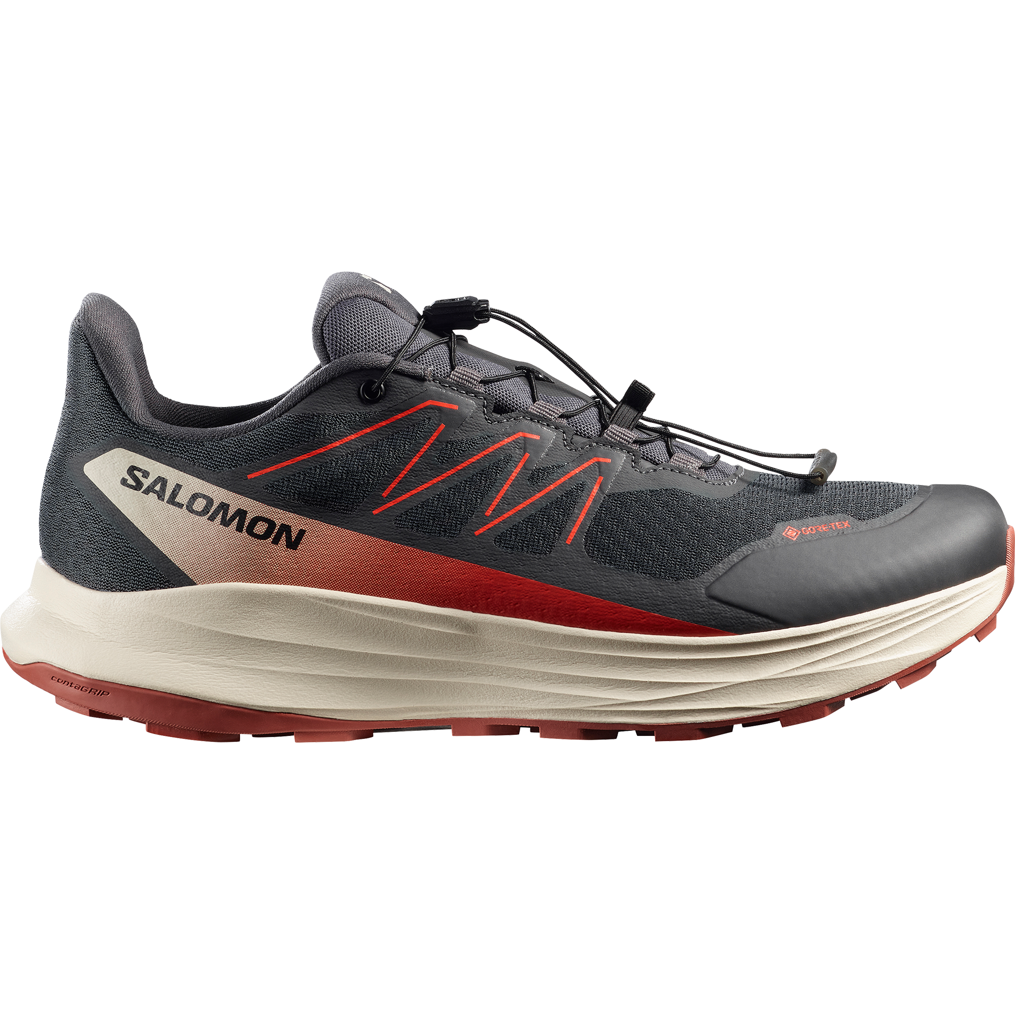 Salomon Trailrunningschuh »ALPHARIDE 2 GORE-TEX«  wasserdicht