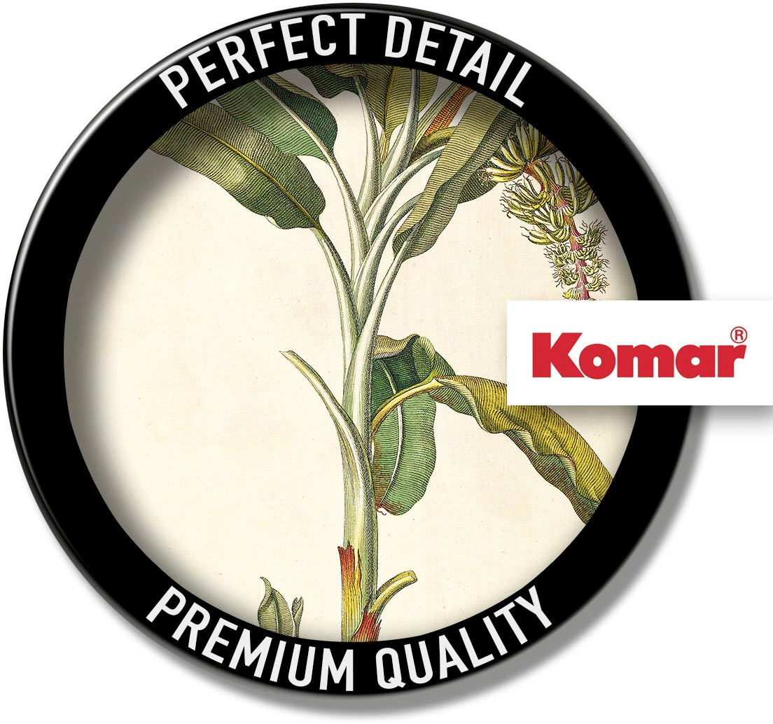 Komar Bild »Rainforest Sapling« Natur 1 Stk. tlg. Wandbild zur Dekoration - ohne Rahmen