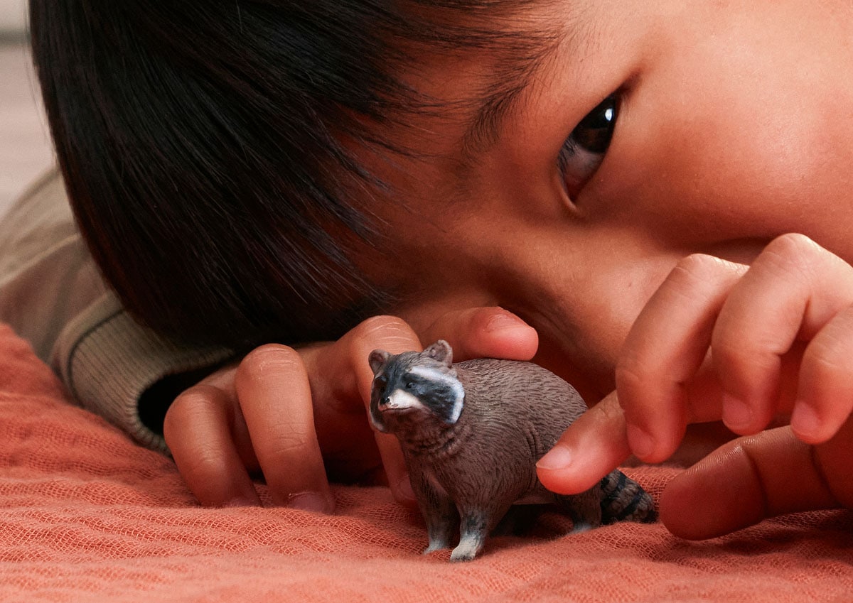 Schleich® Personnage de jeu »WILD LIFE, Waschbär (14937)«