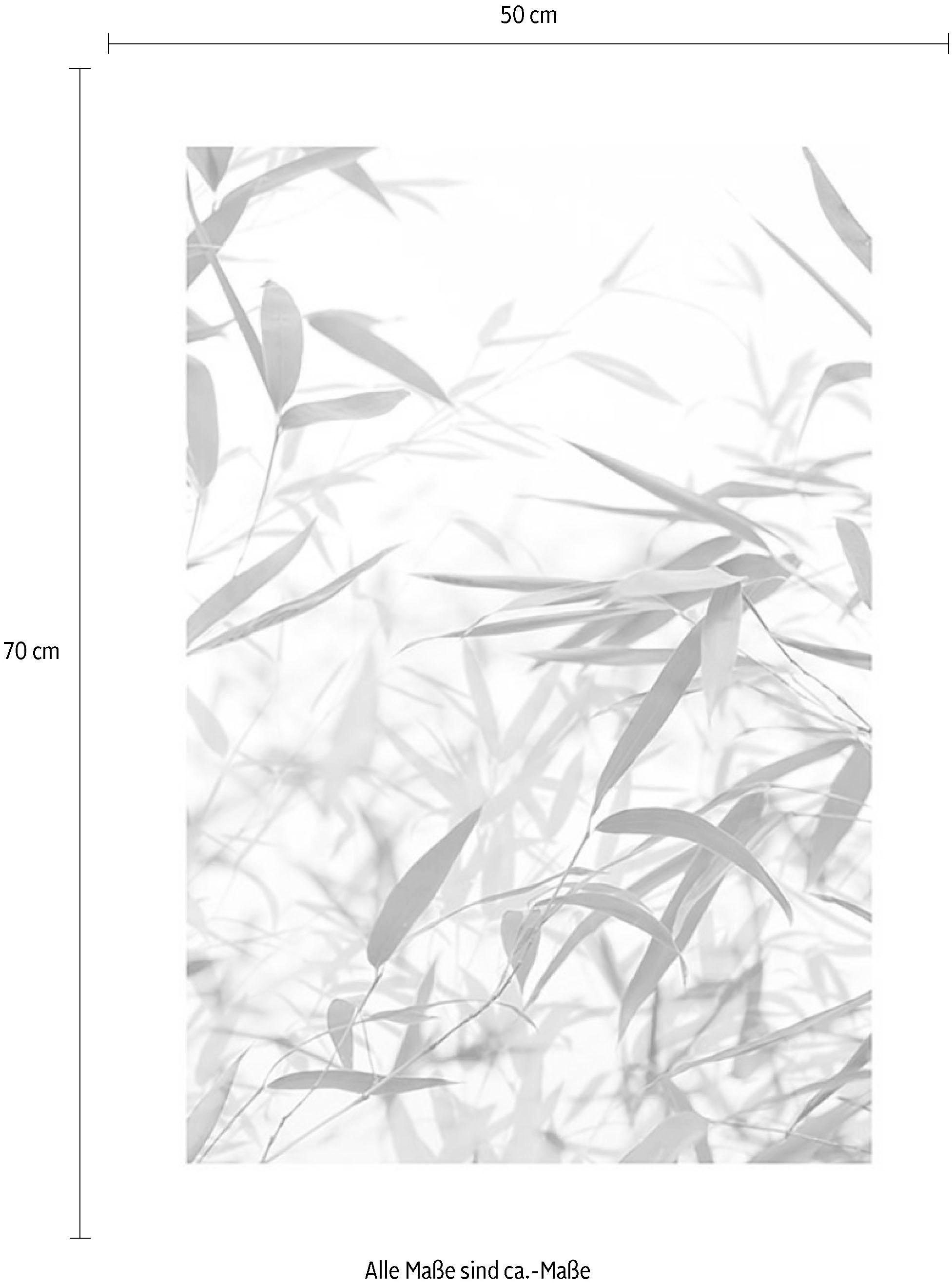 Komar Image »Bamboo Leaves« Feuilles | Plantes 1 cuis tlg. tableau mural décoratif - sans cadre