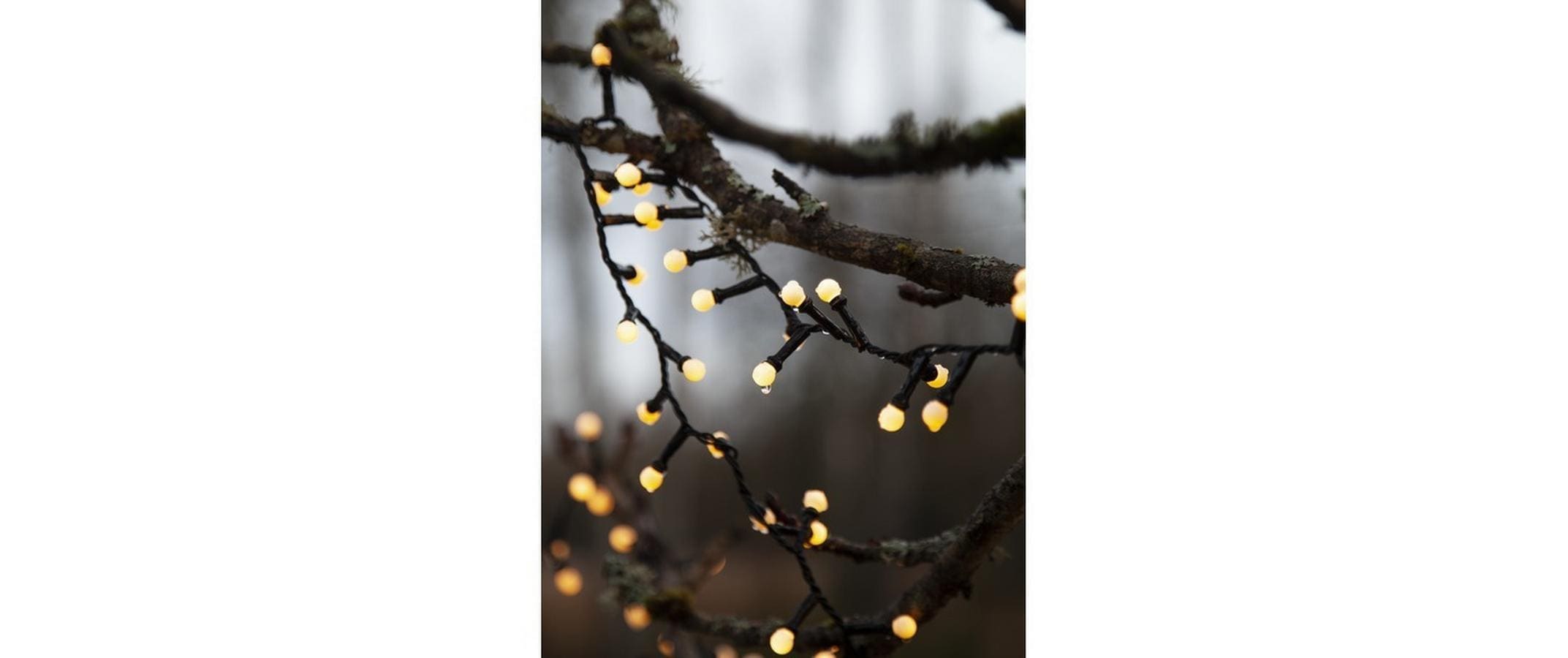 Parforce Traditional Hunting LED-Lichterkette »Lichterkette Berry Mini schwar« 300 Stk.-flammig