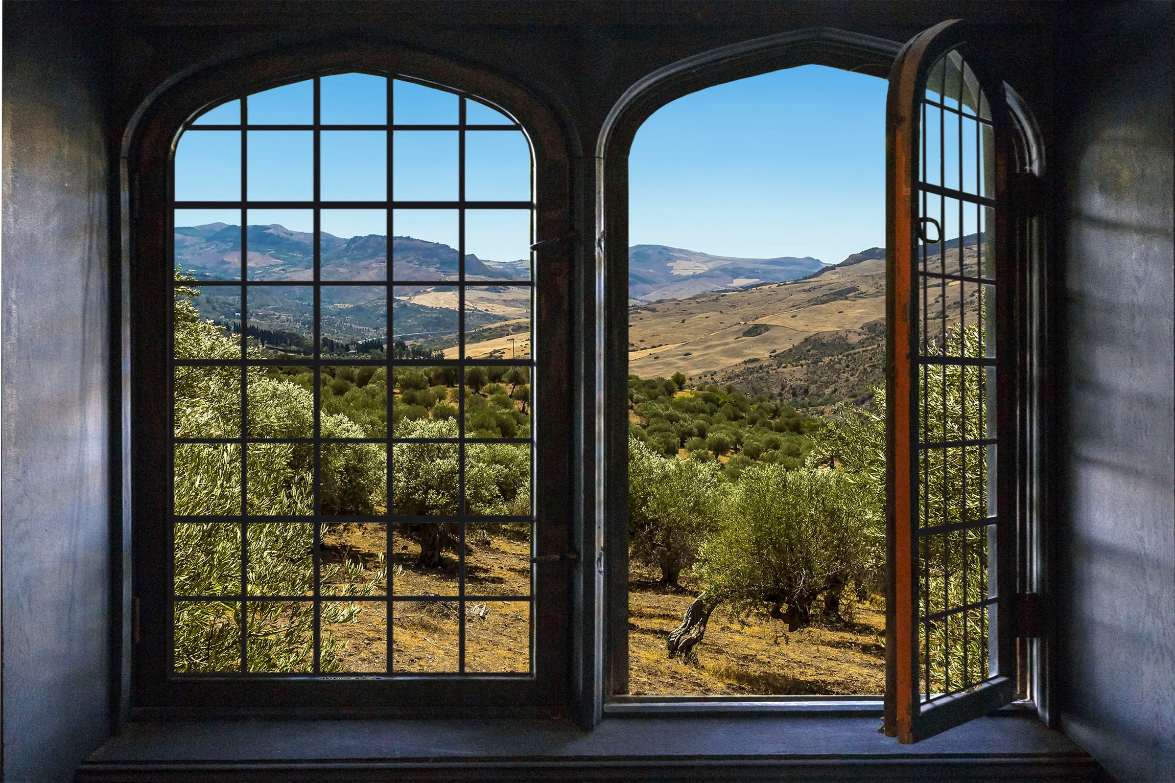 queence Autocollants muraux »Olivenbäume« Wandsticker, Wandbild, selbstklebend, 3D, Fenster