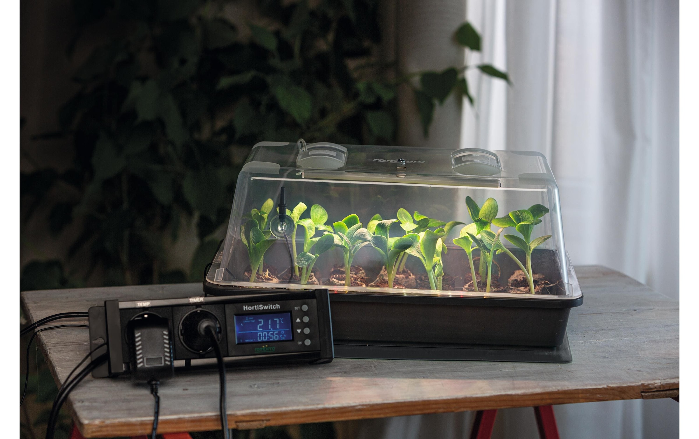   Frühbeet »Romberg Gewächshaus Climatic M LED«