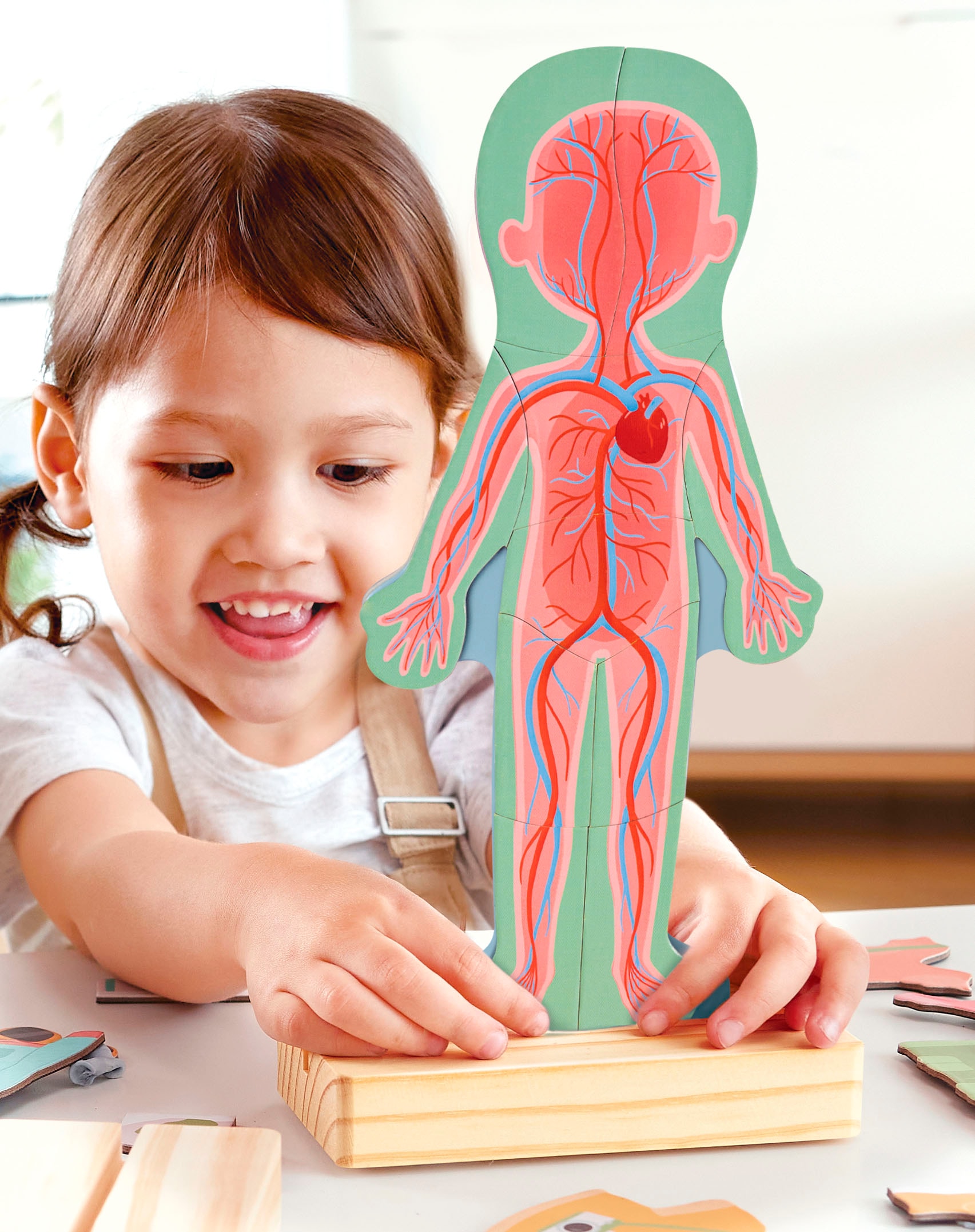 Hape Puzzle de contours »Menschlicher Körper«