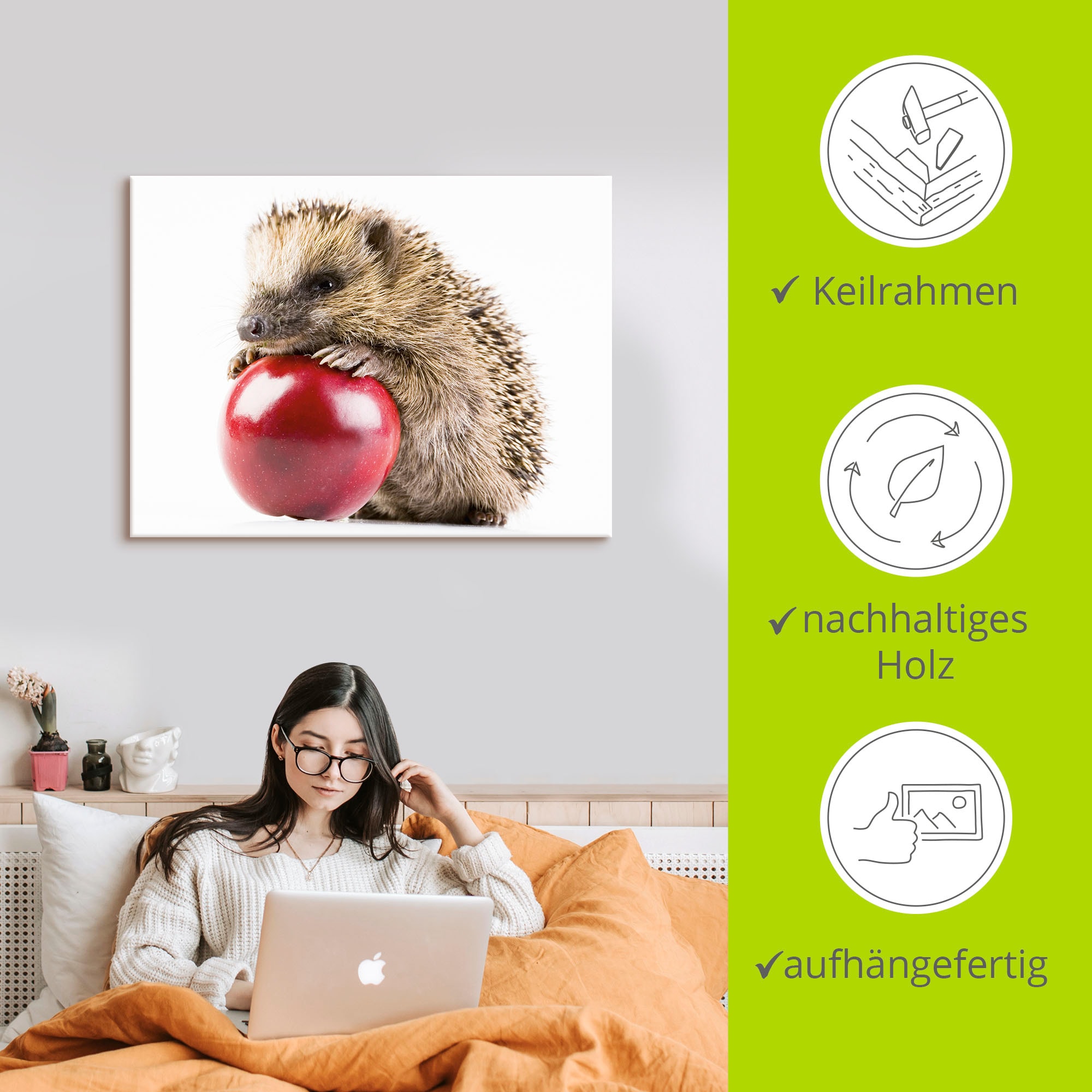 Artland Leinwandbild »Glücklicher Igel« Wildtiere 1 Stk. tlg. auf Holzrahmen gespannt